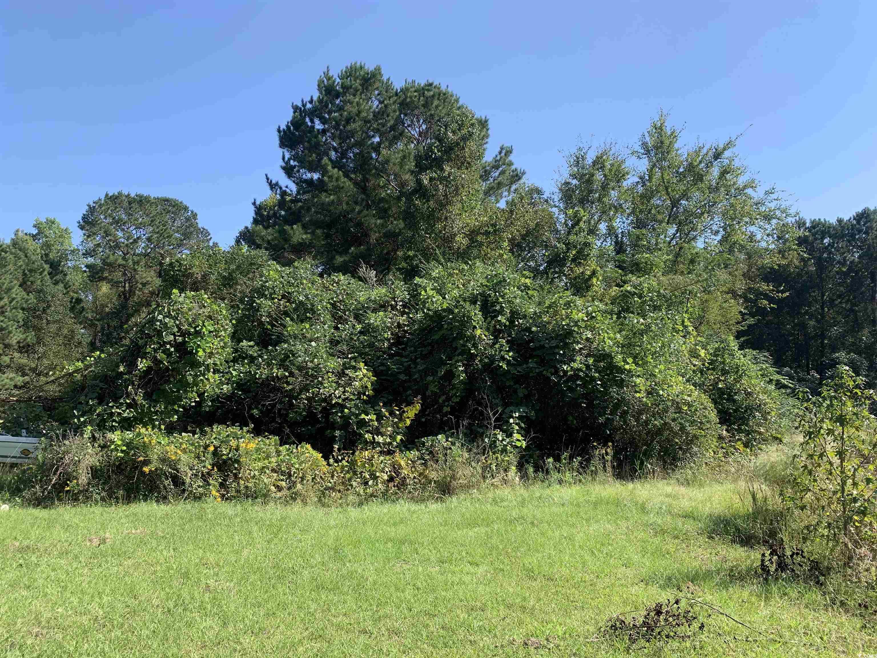 244 Bitmore Dr, Whiteville, North Carolina image 16