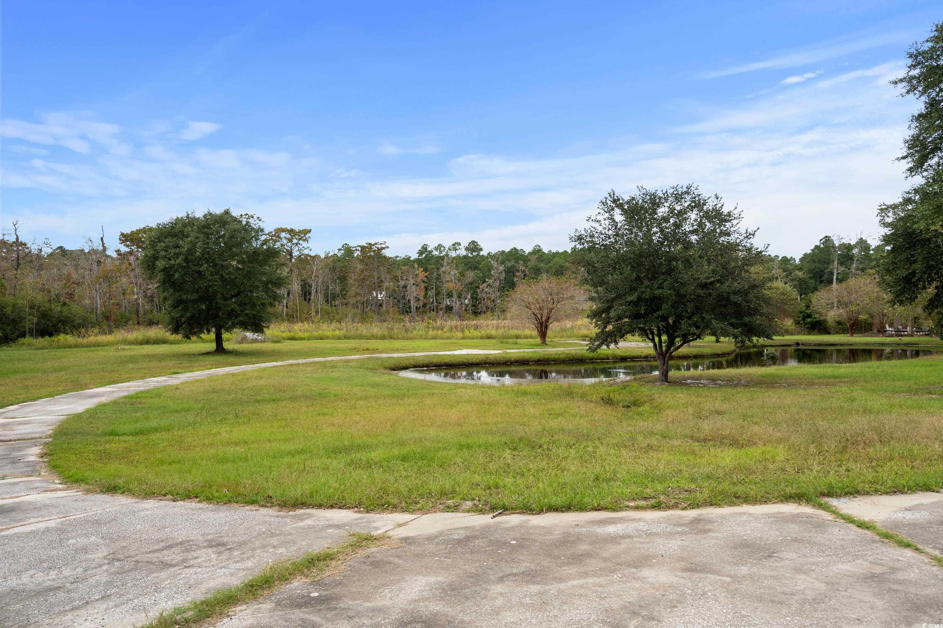 Lot 1 Highway 501 Business, Marion, South Carolina image 17