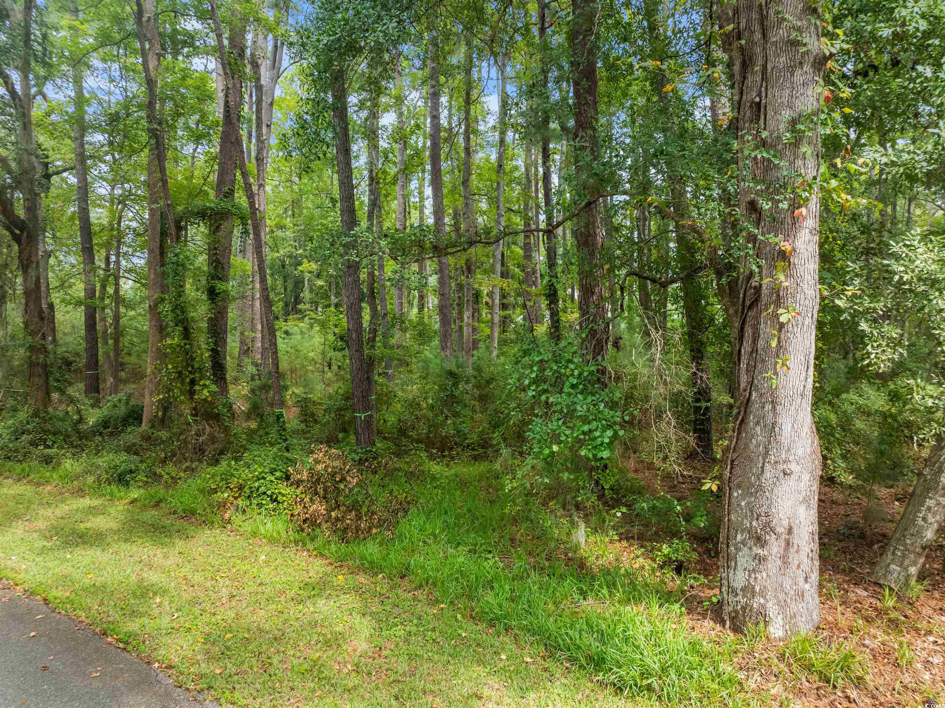 Lot 3 Makepeace Pl., Pawleys Island, South Carolina image 11