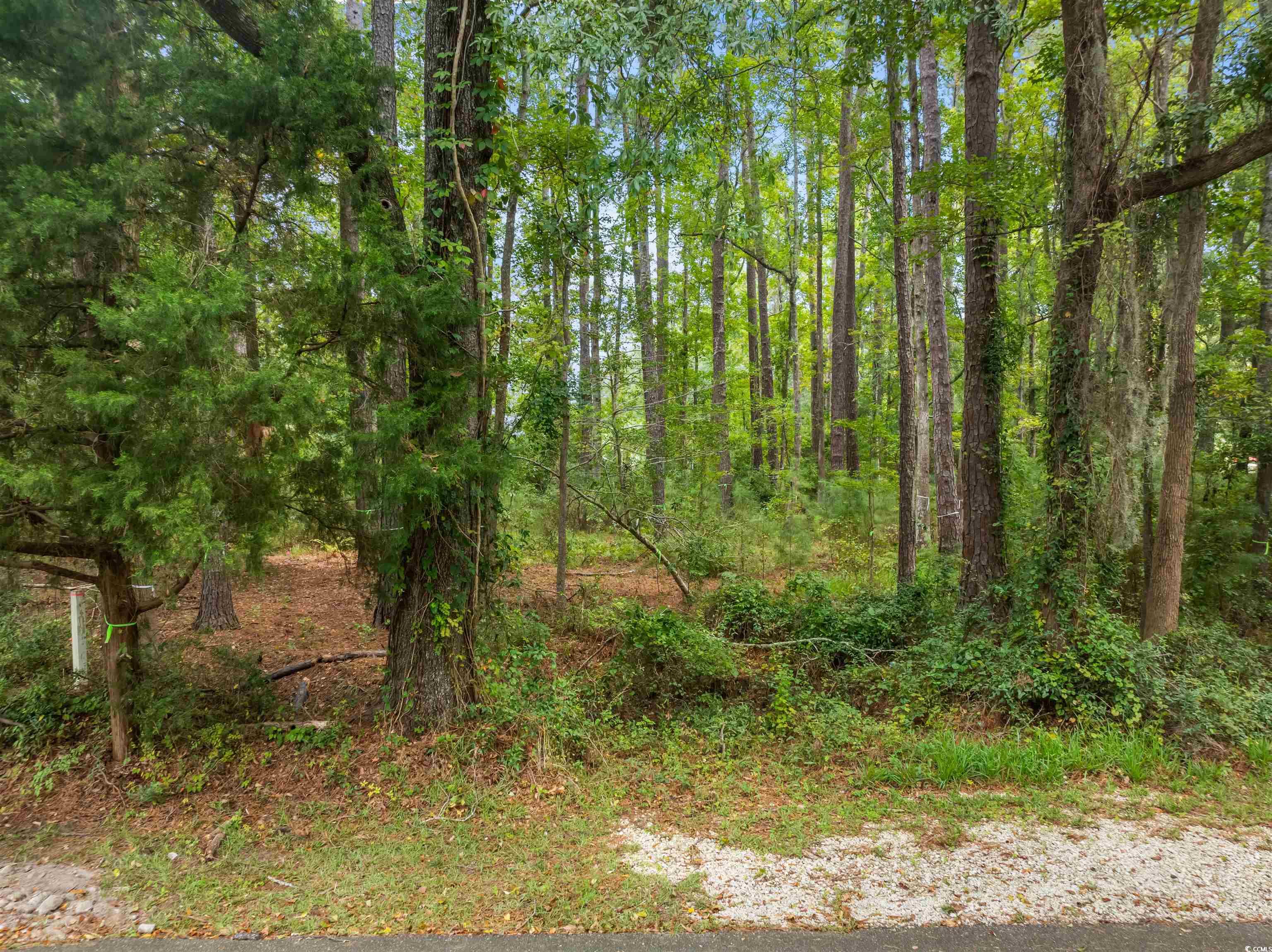 Lot 3 Makepeace Pl., Pawleys Island, South Carolina image 12