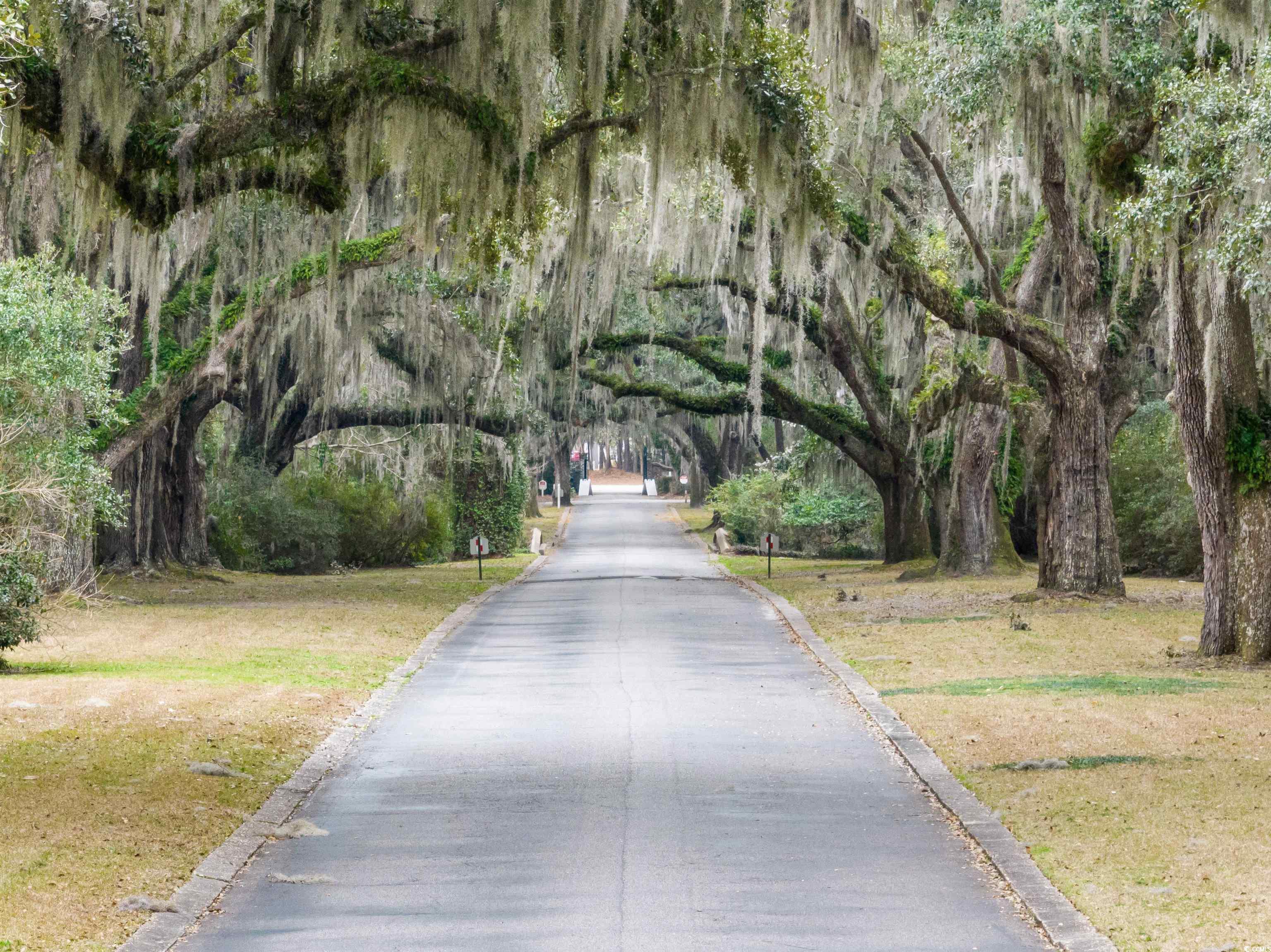 Lot 3 Makepeace Pl., Pawleys Island, South Carolina image 15