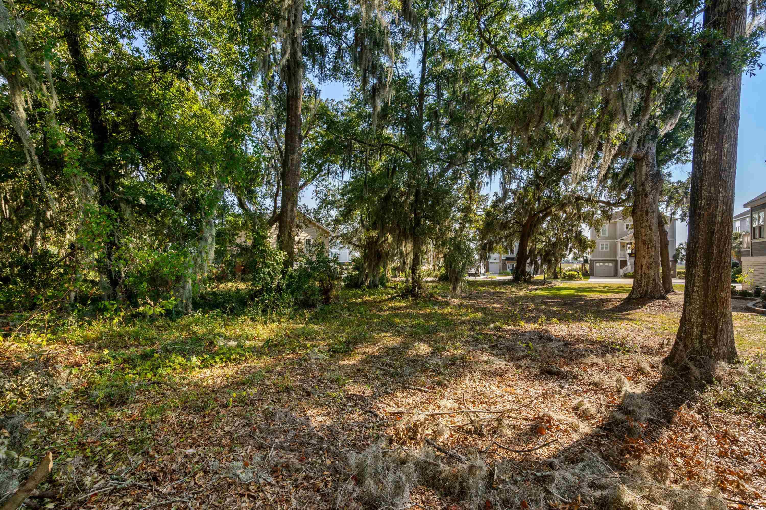 129 Windy Ln., Pawleys Island, South Carolina image 14