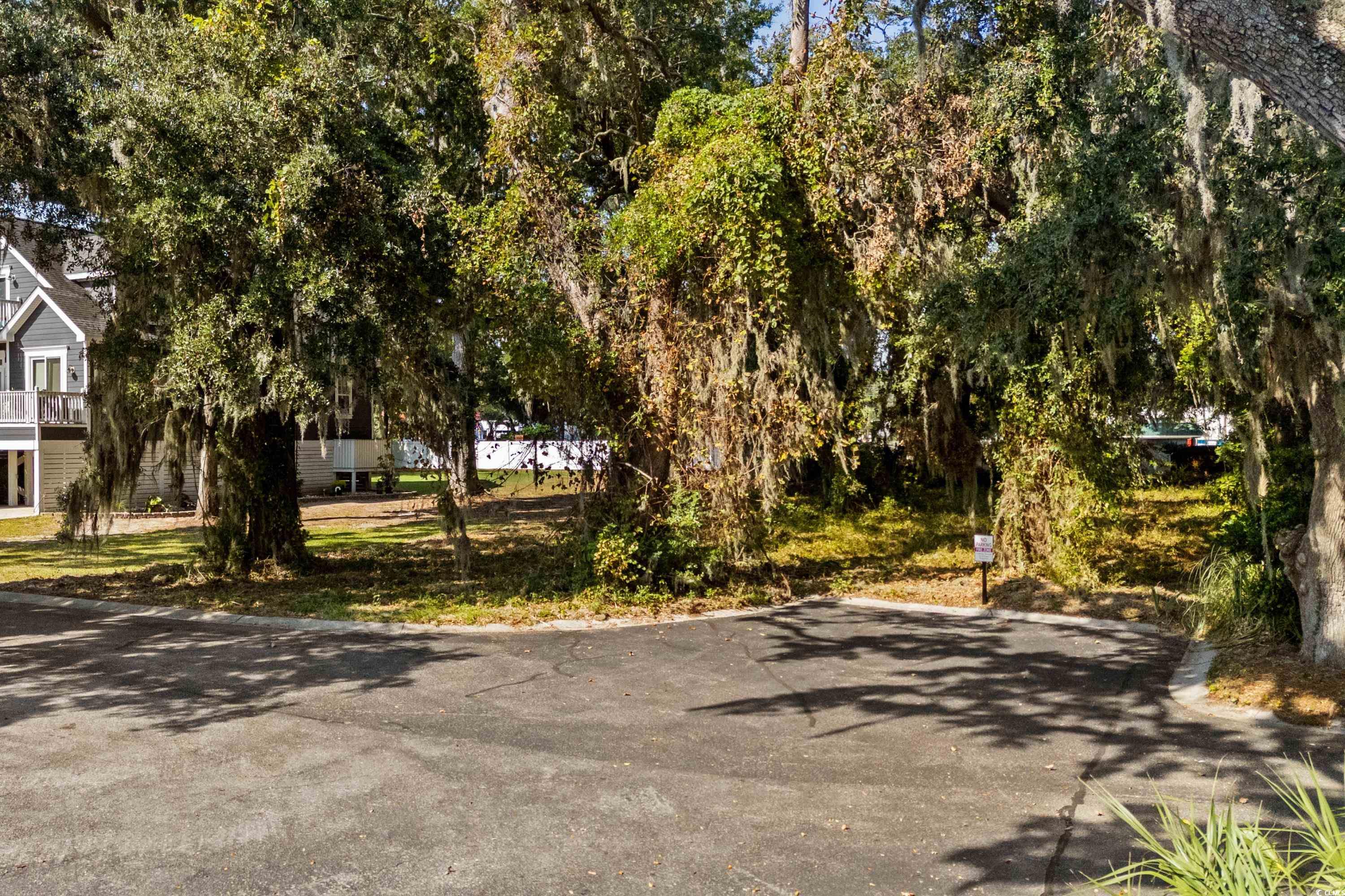 129 Windy Ln., Pawleys Island, South Carolina image 2