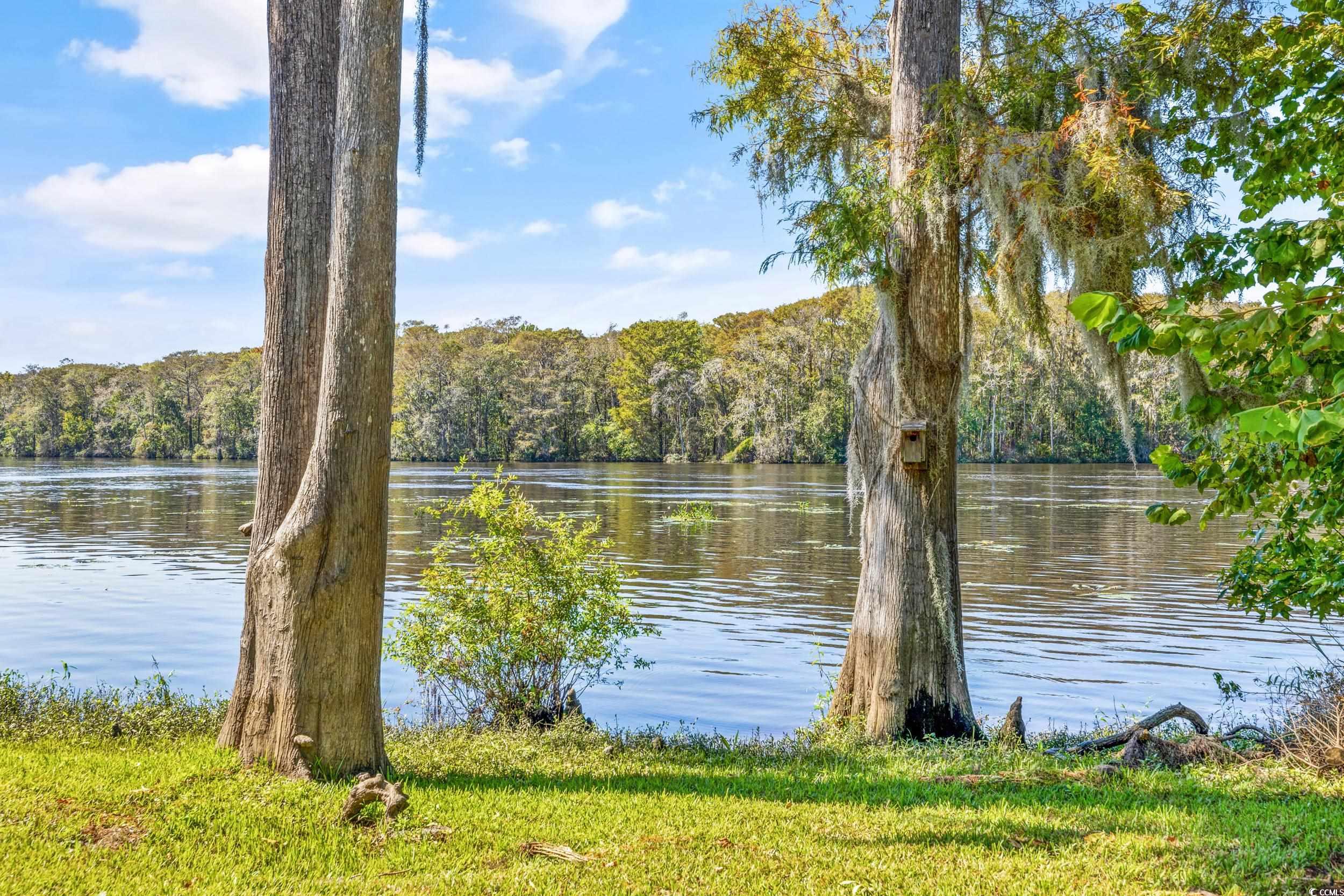 1970 Governors Landing Rd. #208, Murrells Inlet, South Carolina image 32