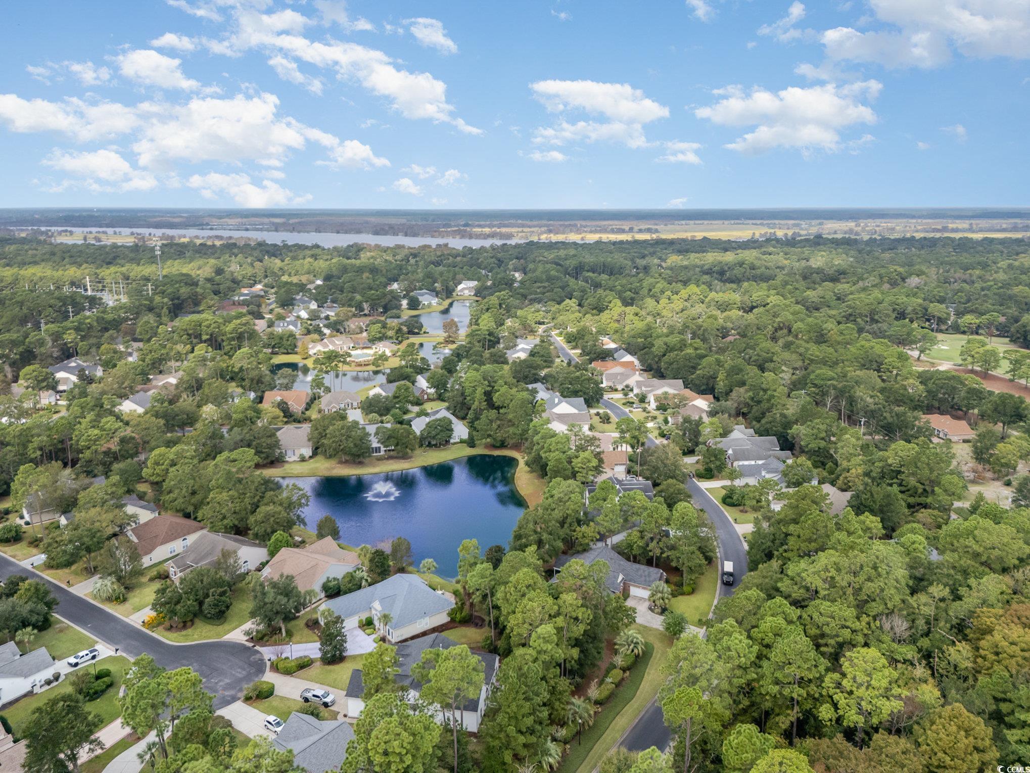 202 Barony Pl., Pawleys Island, South Carolina image 35