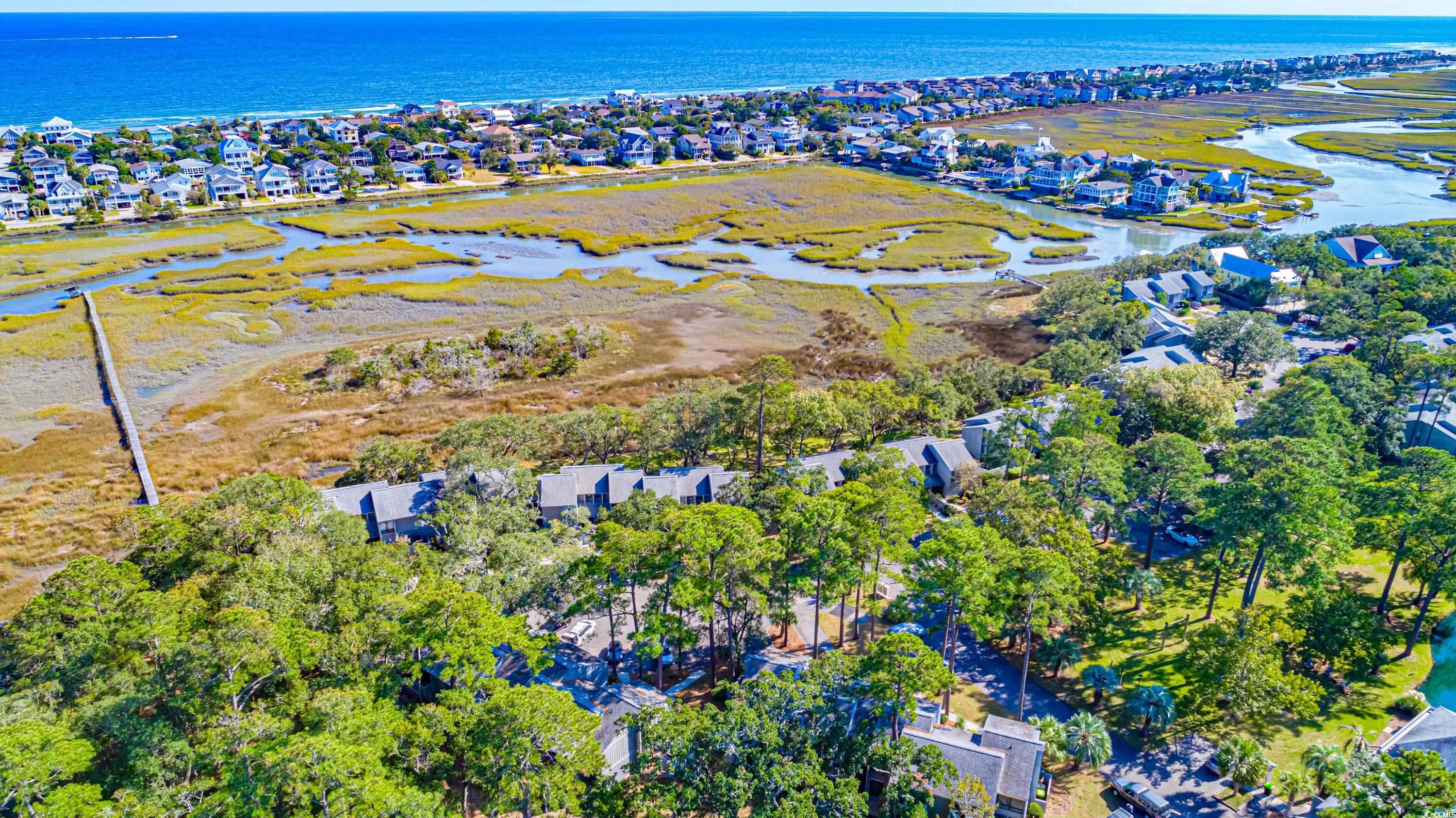 320 Salt Marsh Circle #8-B, Pawleys Island, South Carolina image 40