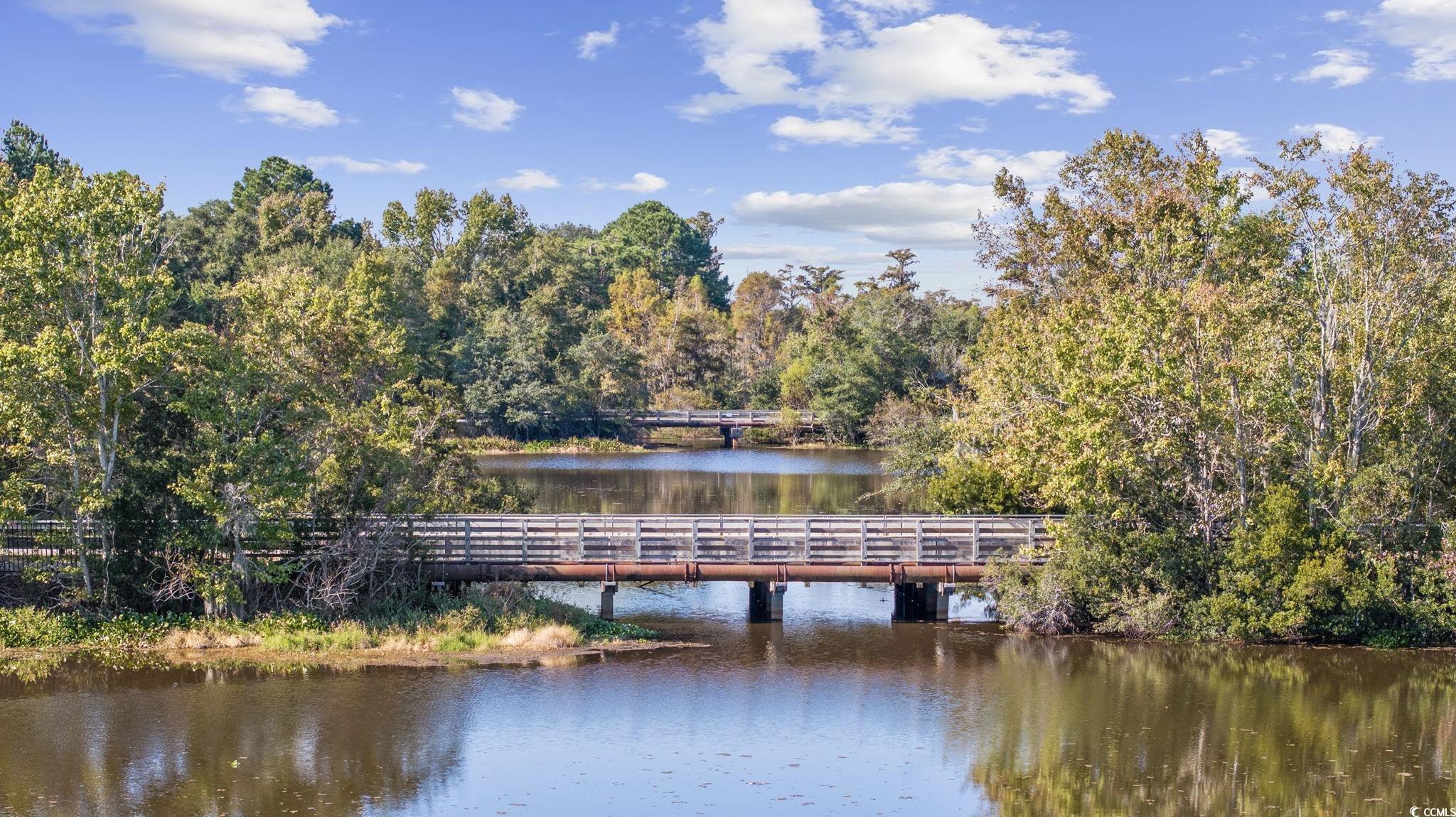 57 Monarch Ct., Pawleys Island, South Carolina image 40