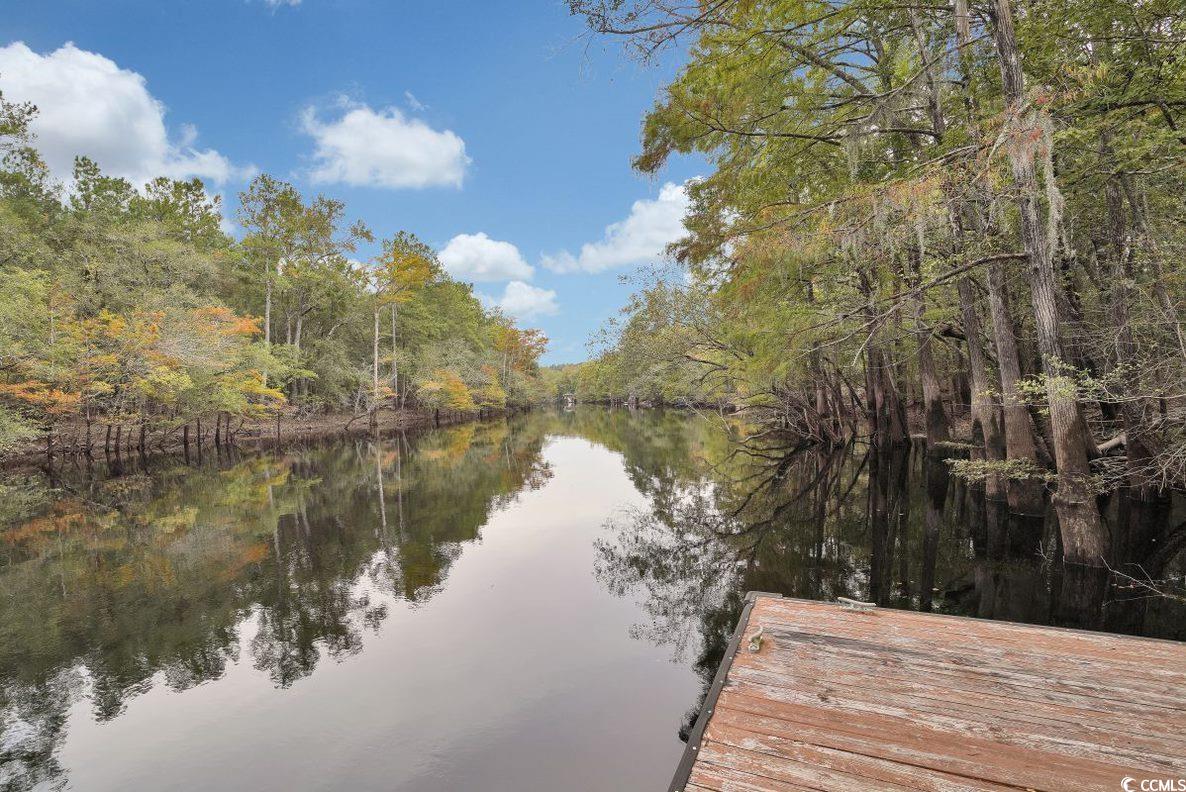 1122 Cherrystone Loop, Conway, South Carolina image 37