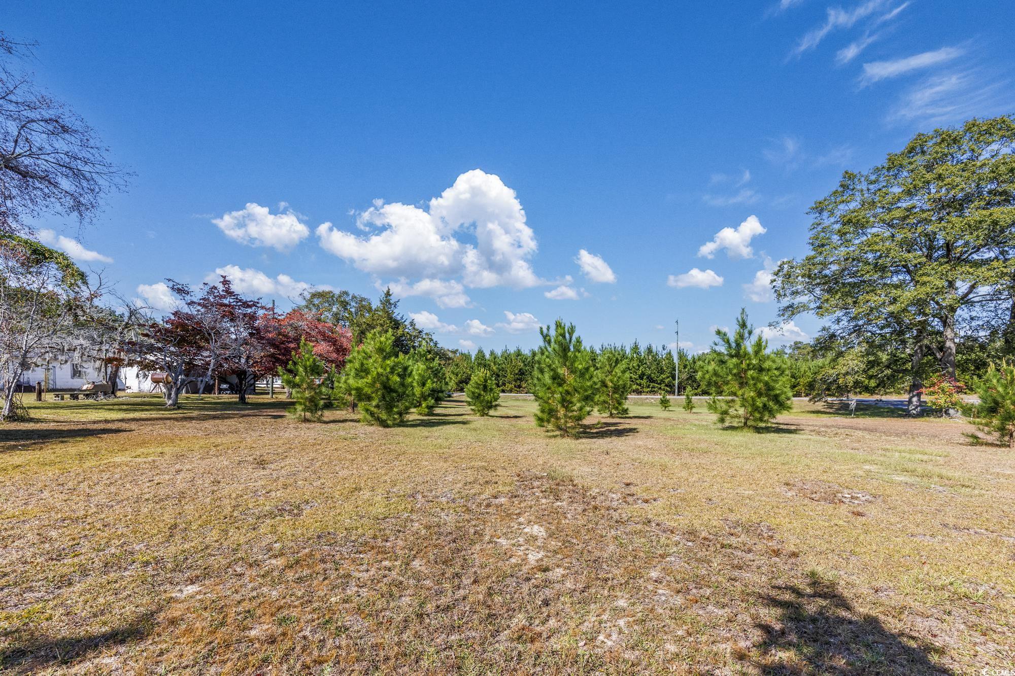 TBD Highway 905, Conway, South Carolina image 14