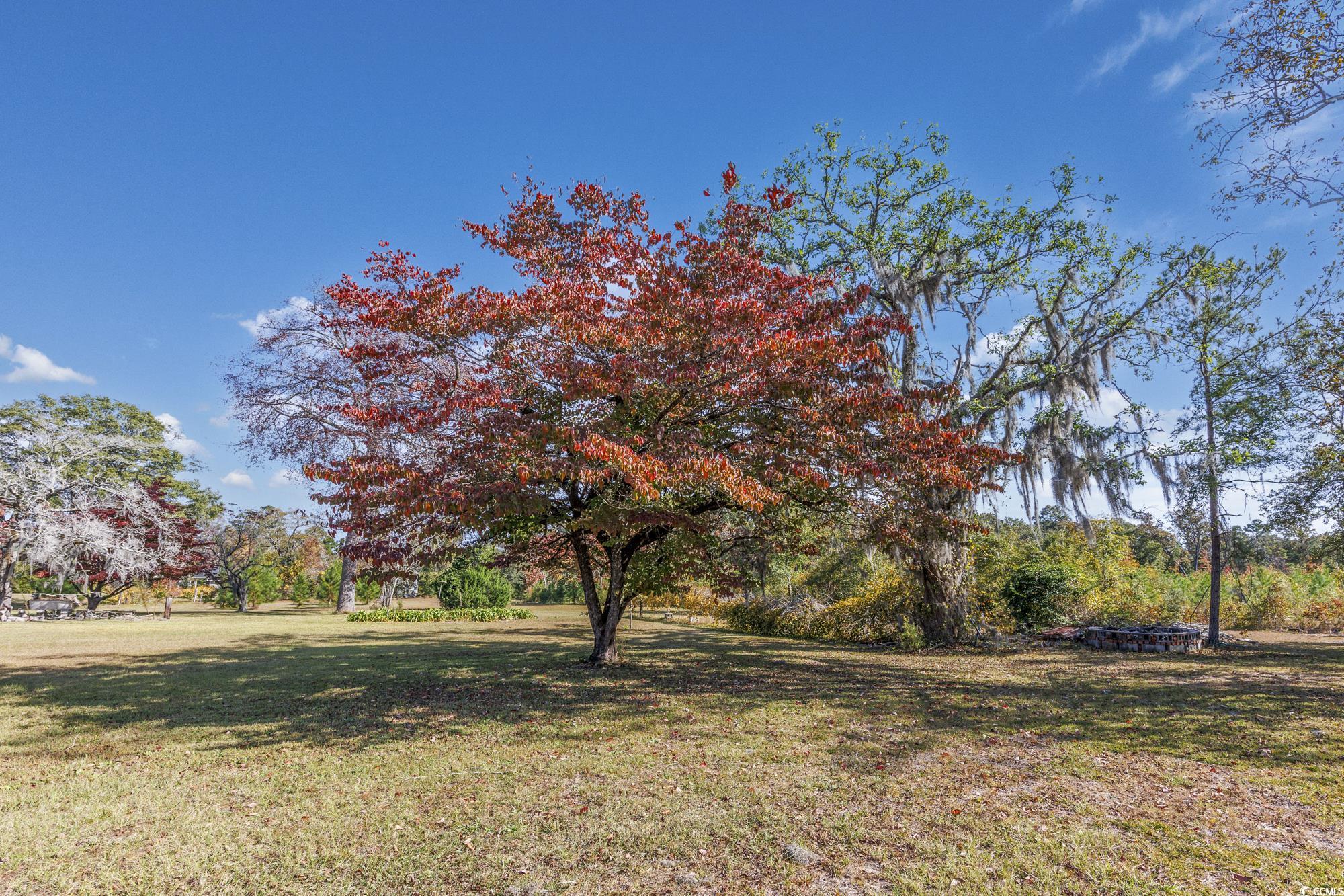 TBD Highway 905, Conway, South Carolina image 17