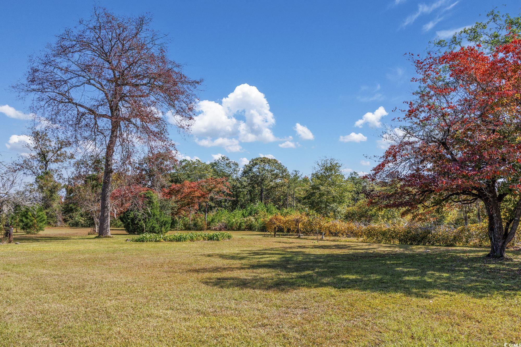 TBD Highway 905, Conway, South Carolina image 4