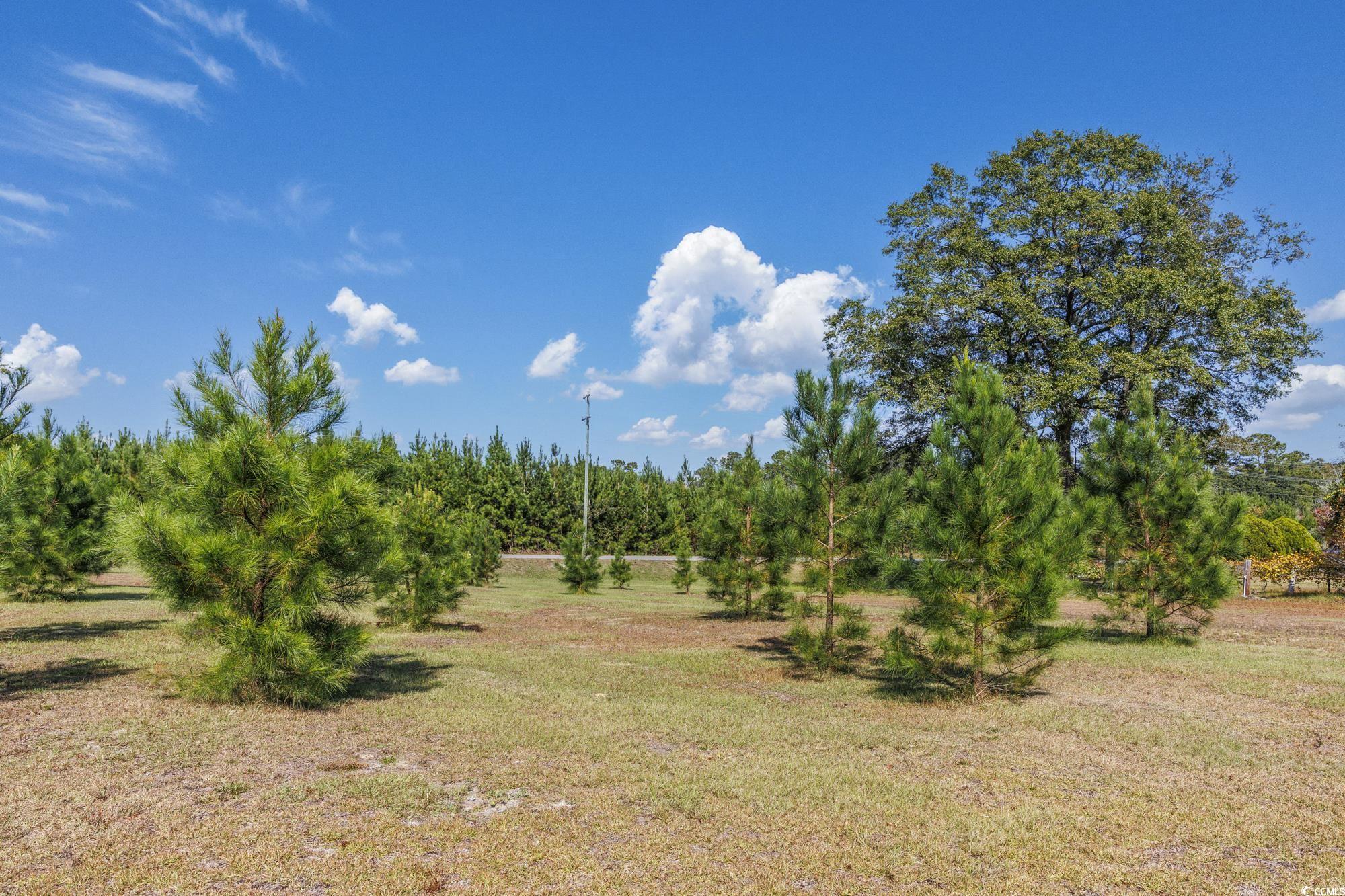 TBD Highway 905, Conway, South Carolina image 7