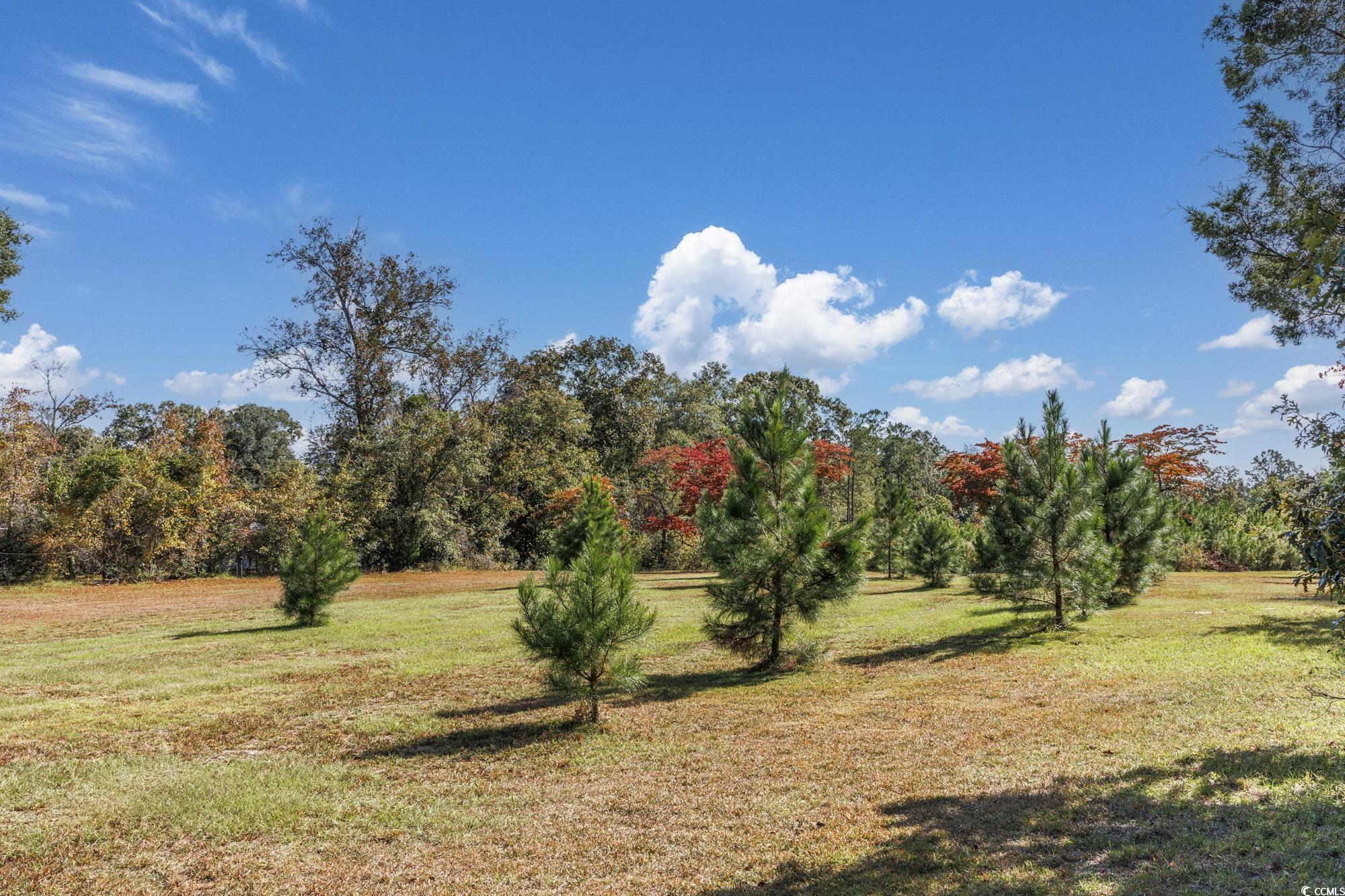 TBD Highway 905, Conway, South Carolina image 8