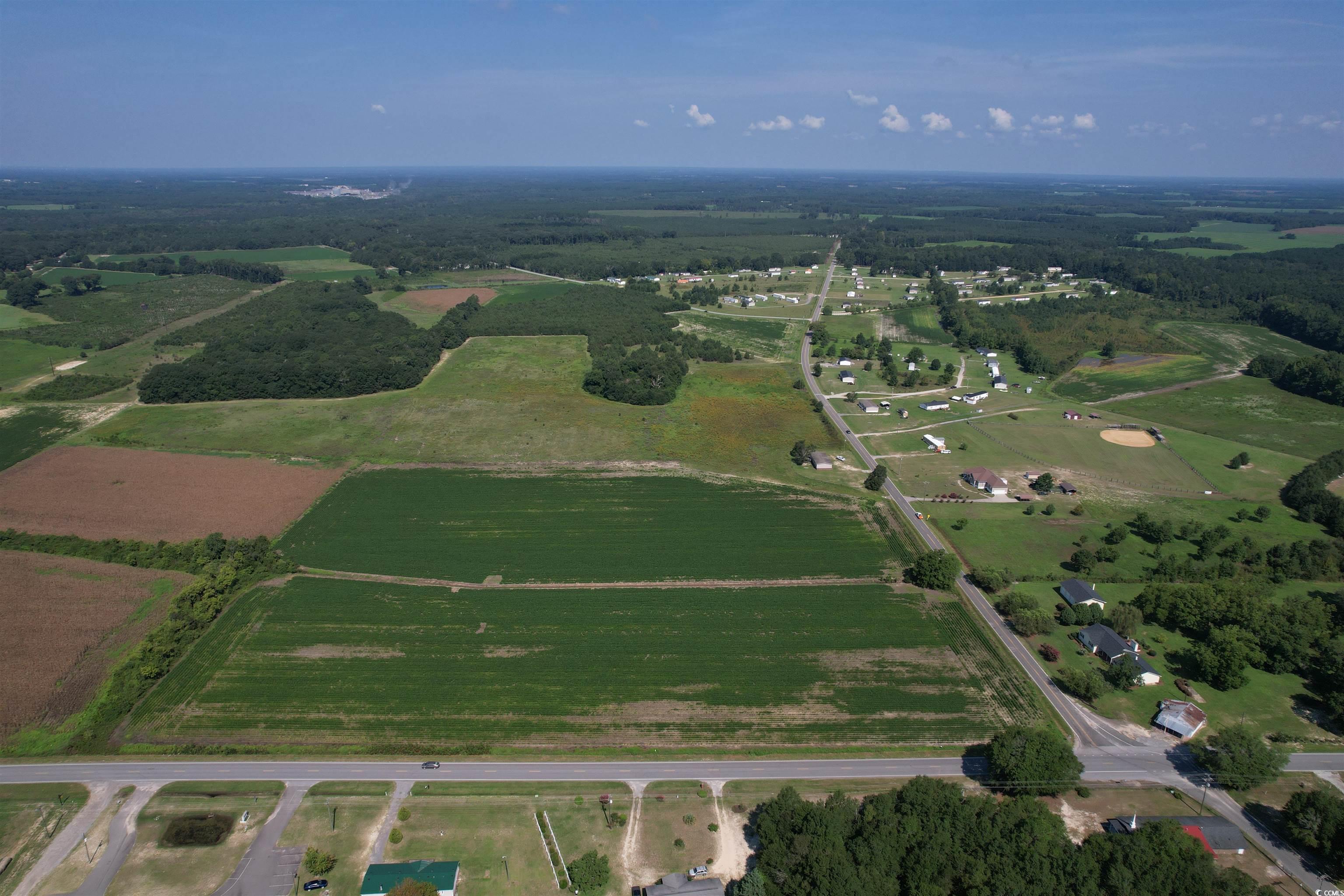 TBD Lot 7 Jeffords Mill Rd., Darlington, South Carolina image 4