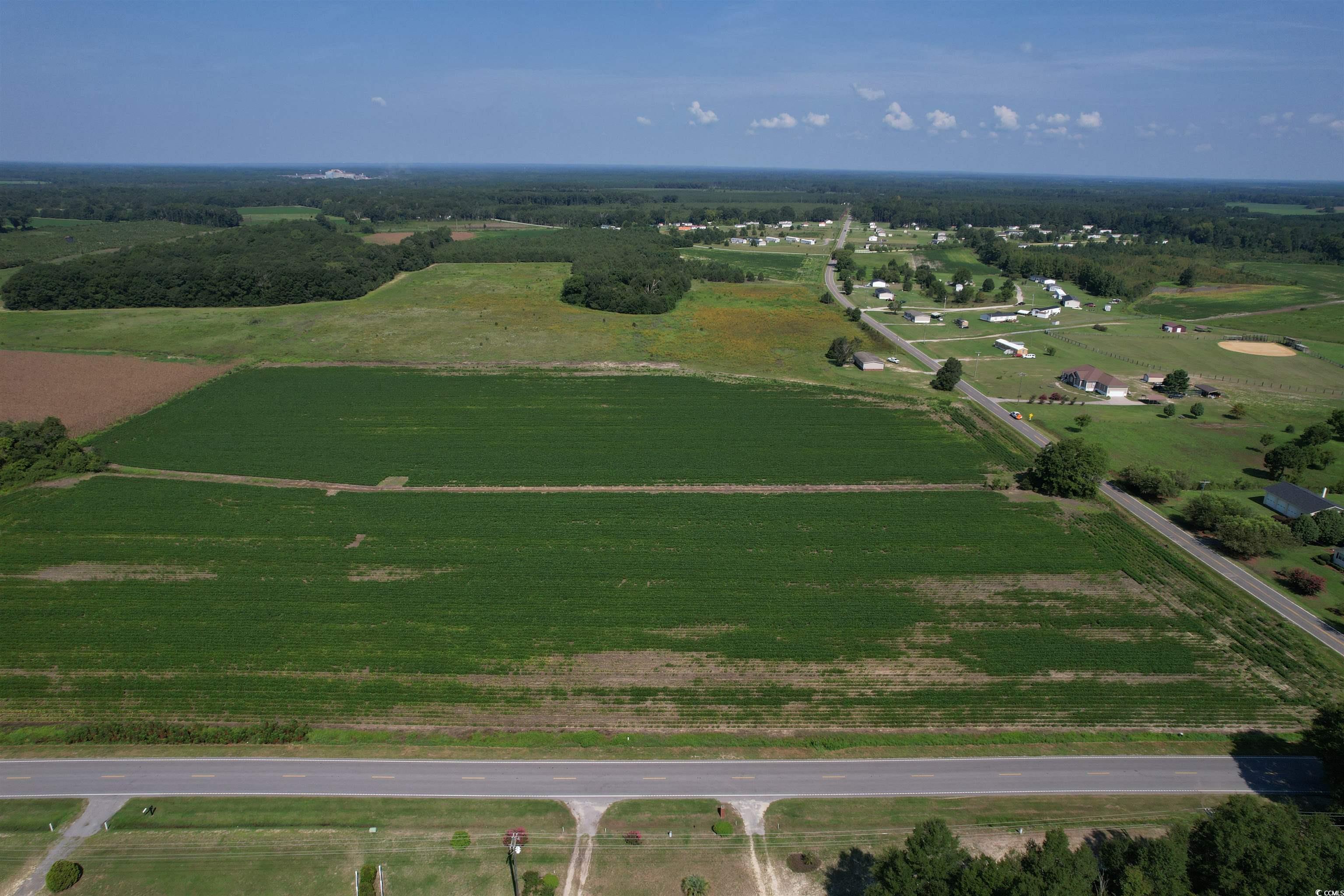 TBD Lot 7 Jeffords Mill Rd., Darlington, South Carolina image 5