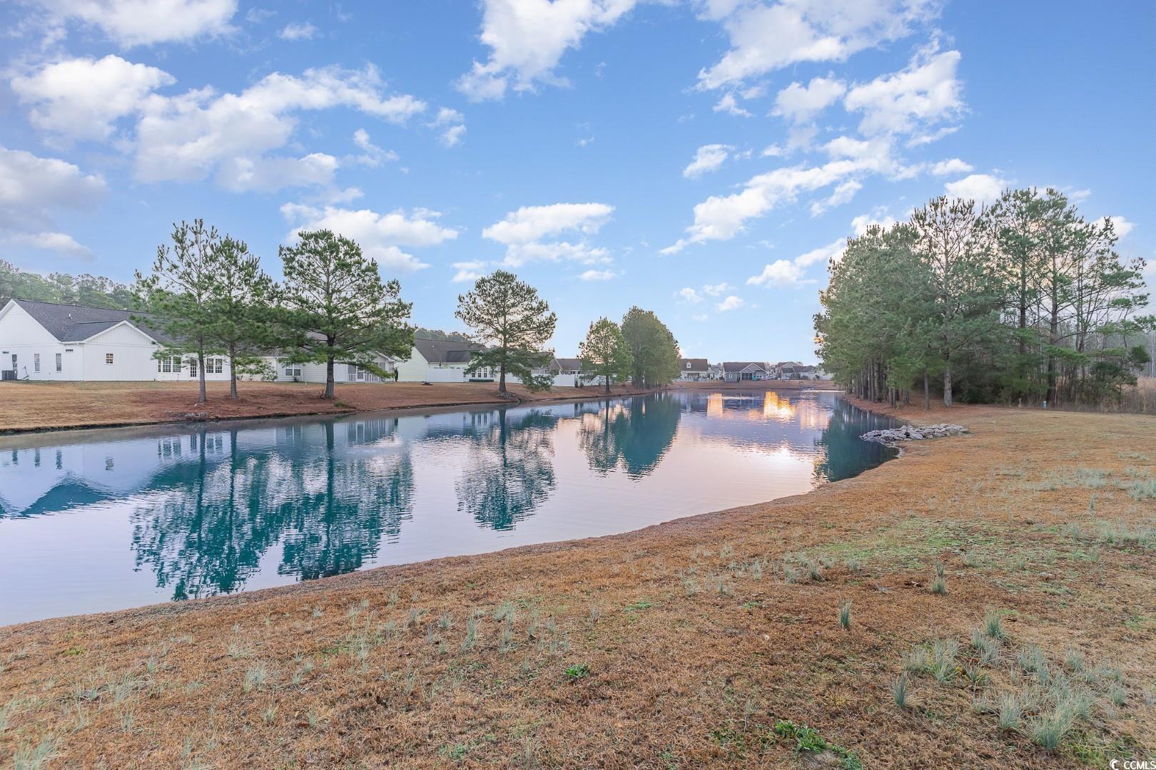 684 Trap Shooter Circle, Longs, South Carolina image 30