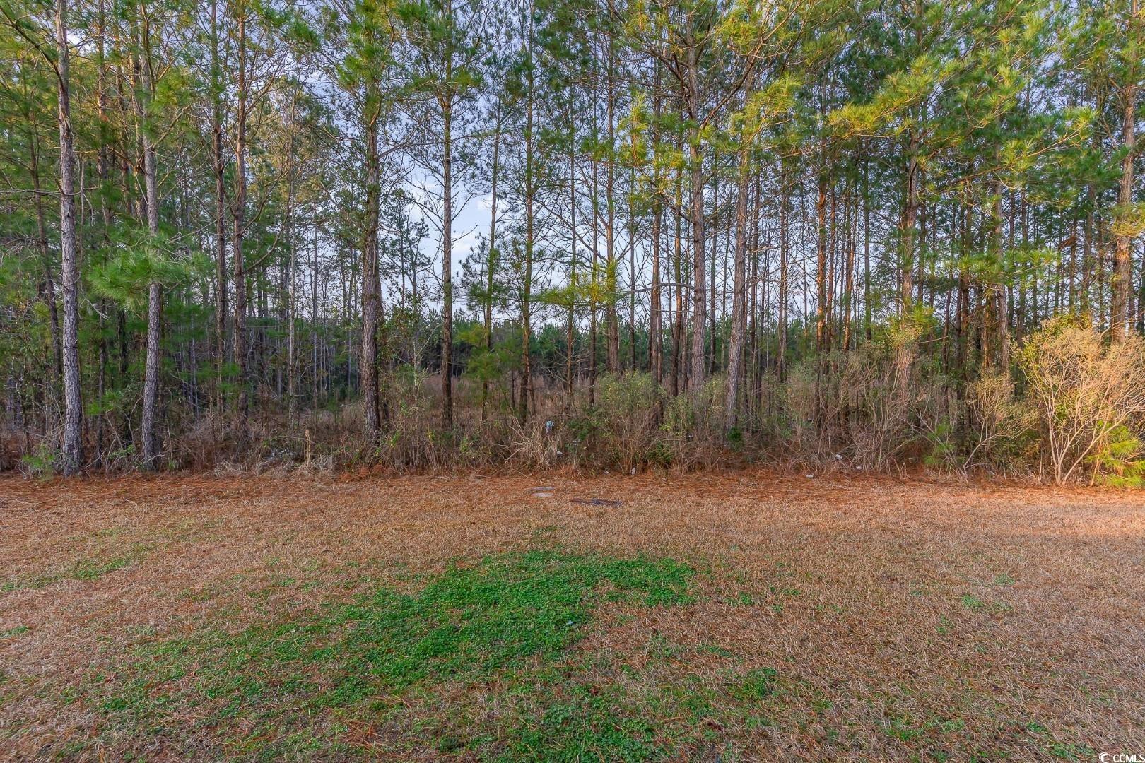 684 Trap Shooter Circle, Longs, South Carolina image 32