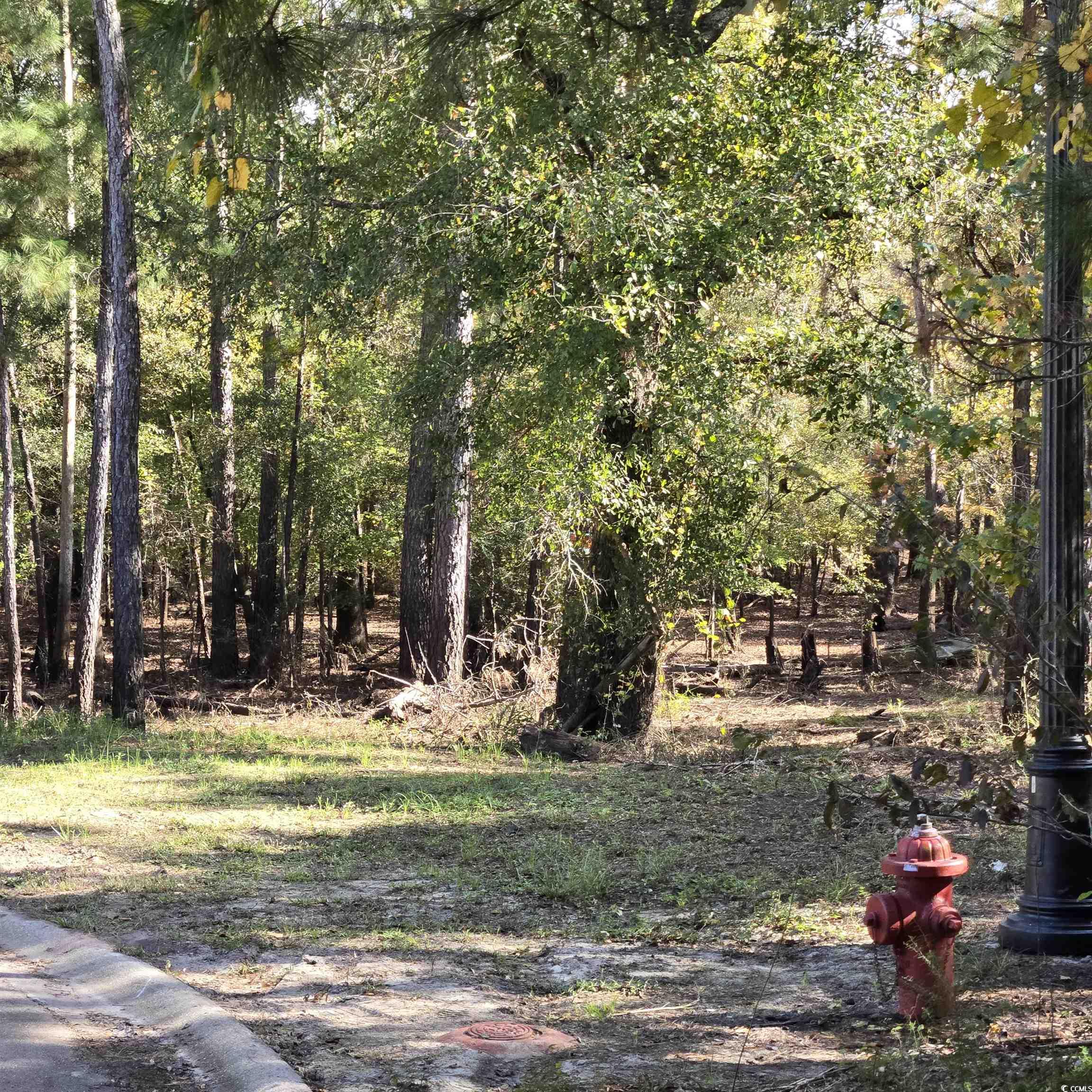 361 Cypress Flat Ct. Conway, SC 29526