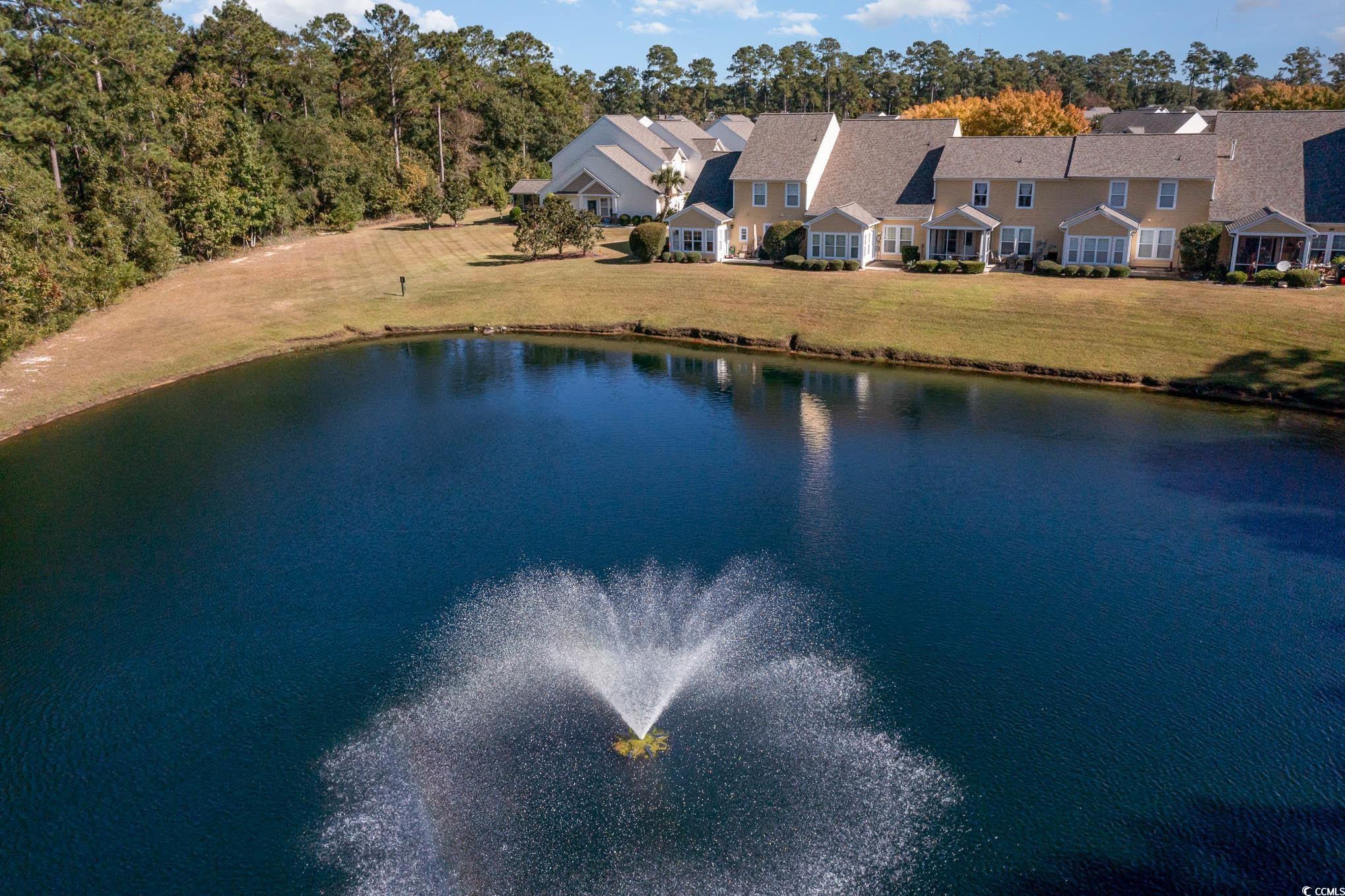 206 Mossy Stone Ct. #1605, Murrells Inlet, South Carolina image 33