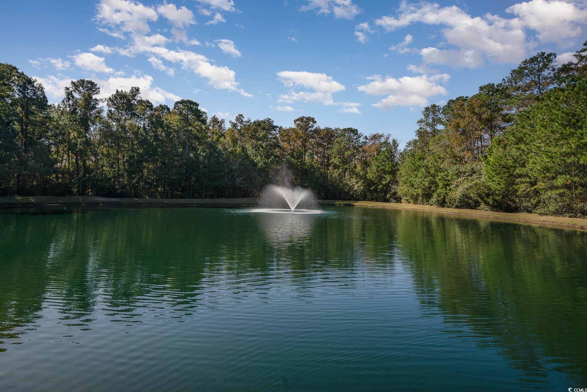 206 Mossy Stone Ct. #1605, Murrells Inlet, South Carolina image 35