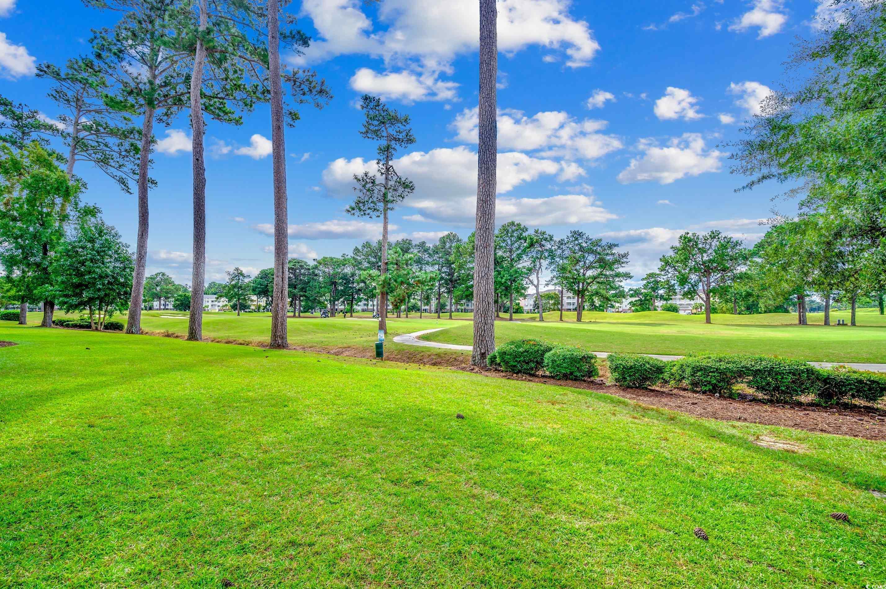 4878 Luster Leaf Circle #204, Myrtle Beach, South Carolina image 26