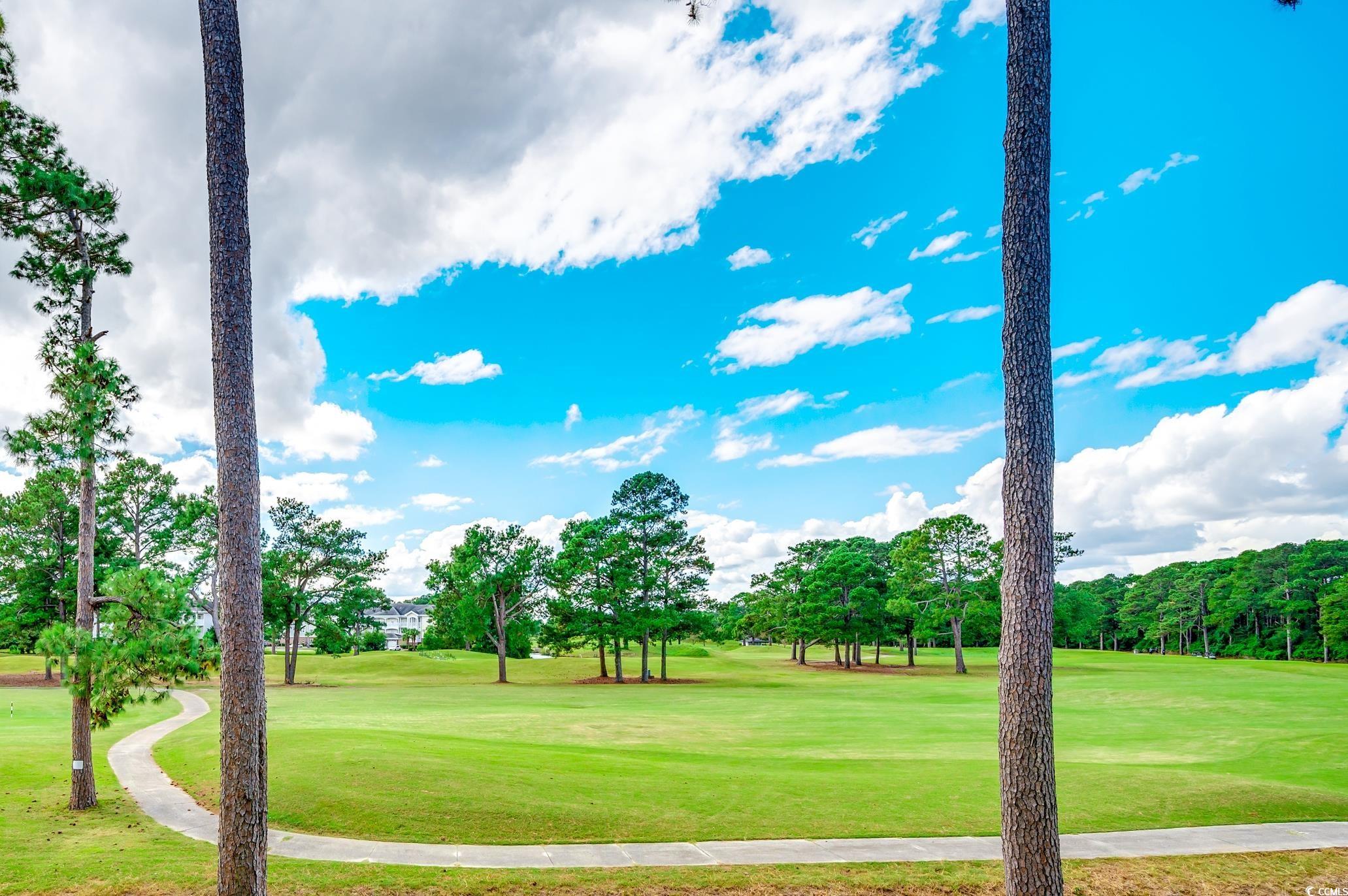 4878 Luster Leaf Circle #204, Myrtle Beach, South Carolina image 28