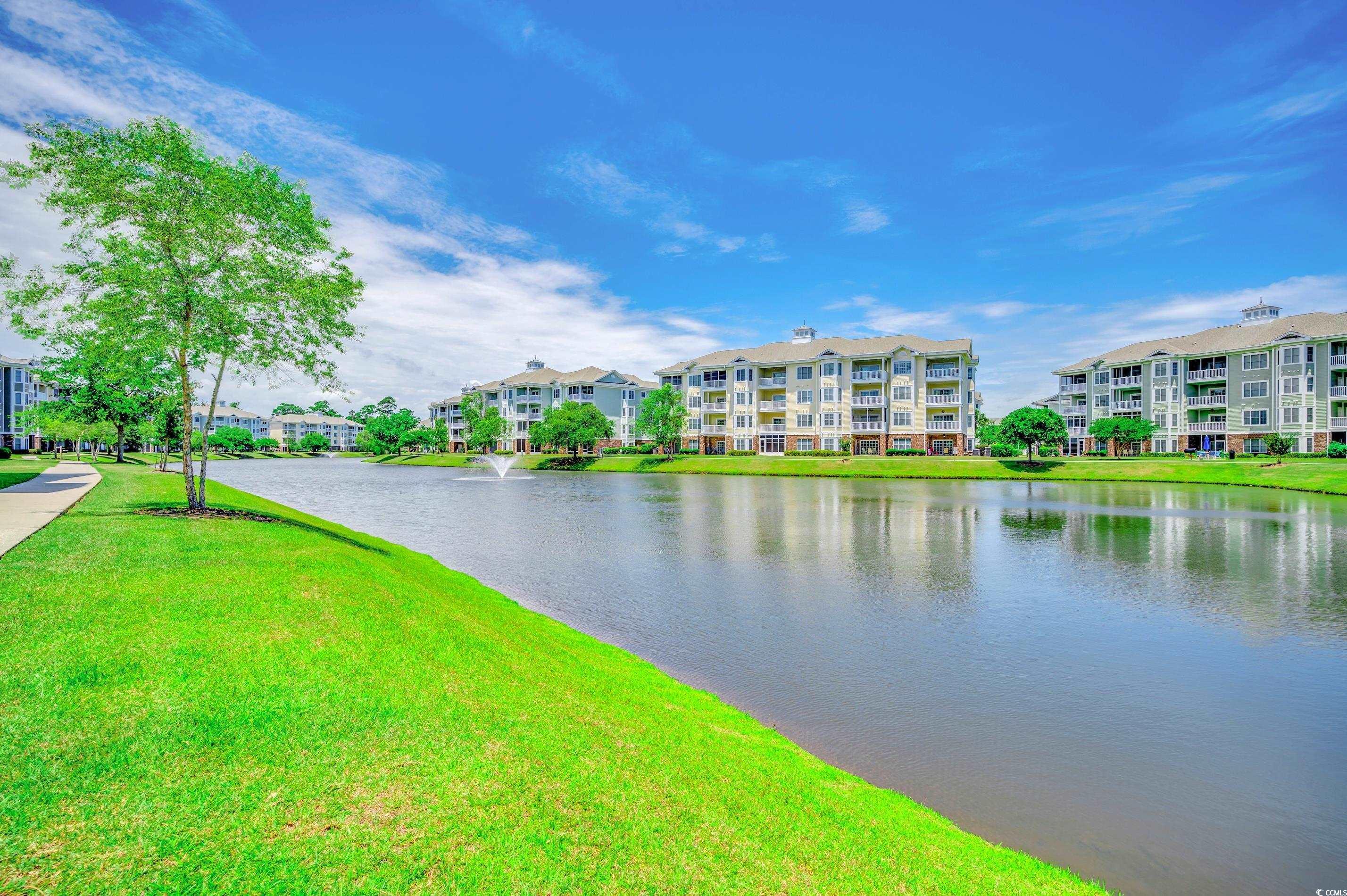 4878 Luster Leaf Circle #204, Myrtle Beach, South Carolina image 32