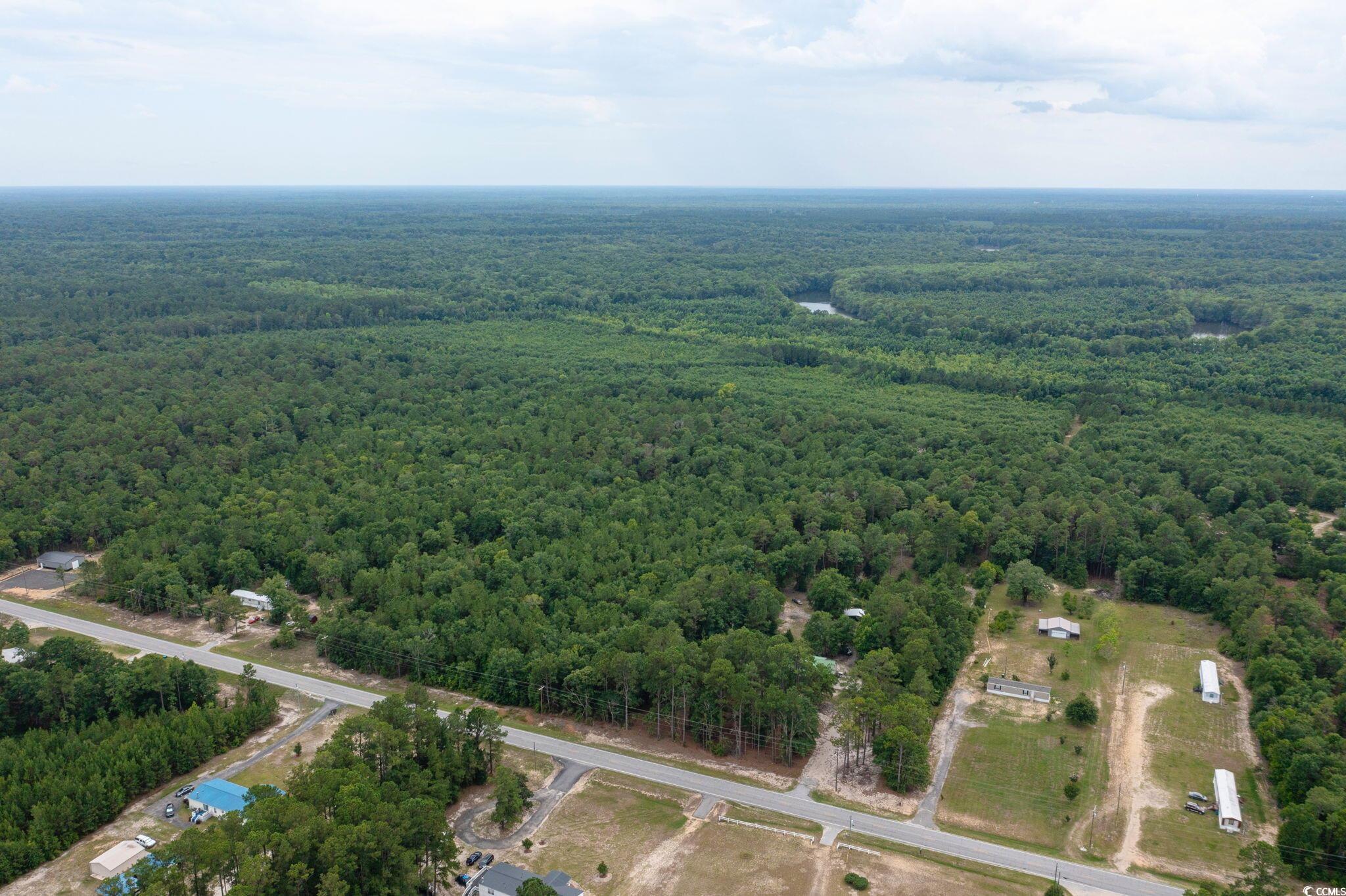 Johnson Loop, Gresham, South Carolina image 5