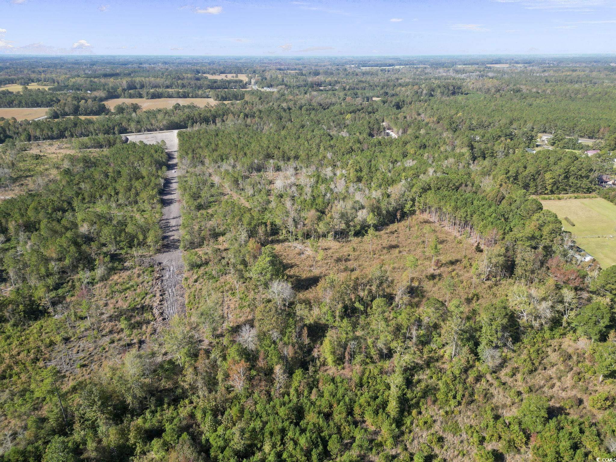 TBD Fowler School Rd., Green Sea, South Carolina image 10