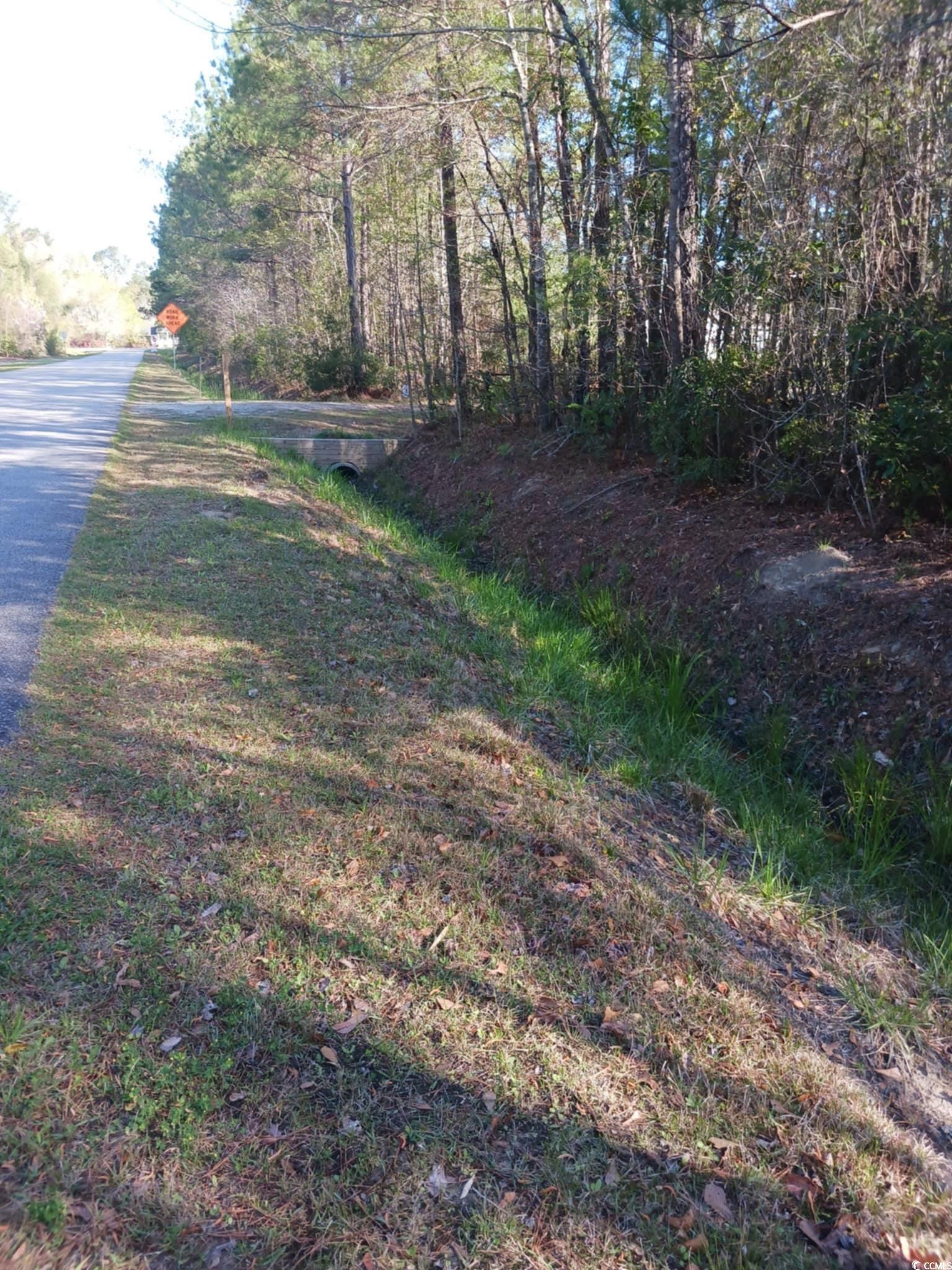 TBD Fowler School Rd., Green Sea, South Carolina image 2