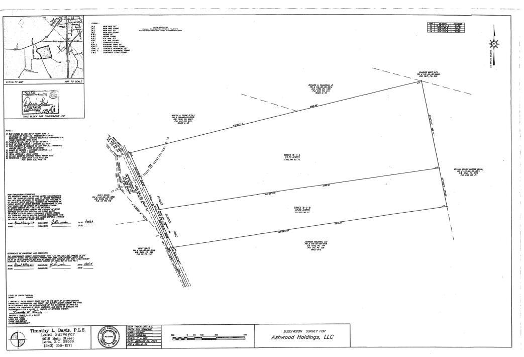 TBD Fowler School Rd., Green Sea, South Carolina image 3