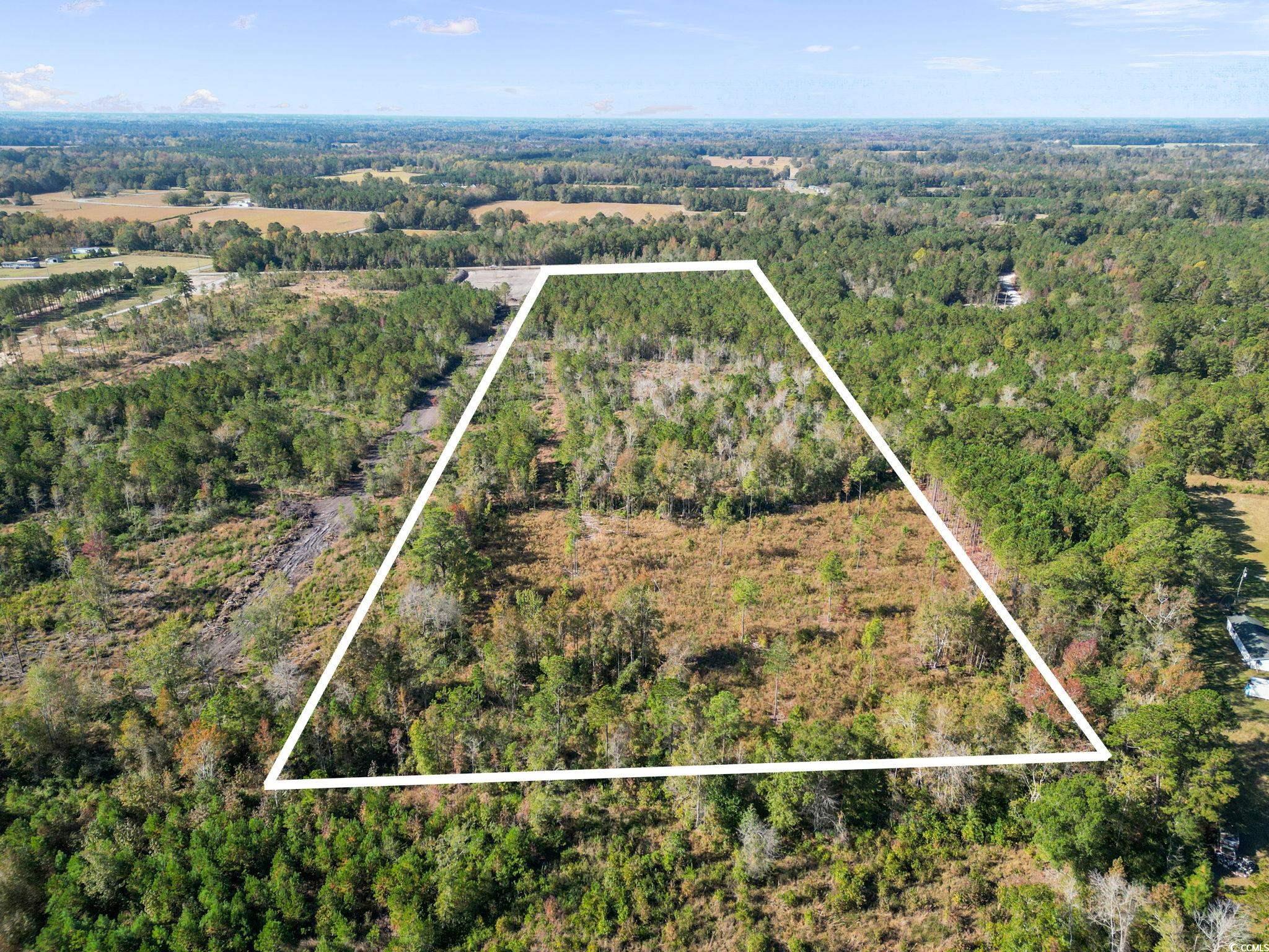 TBD Fowler School Rd., Green Sea, South Carolina image 4