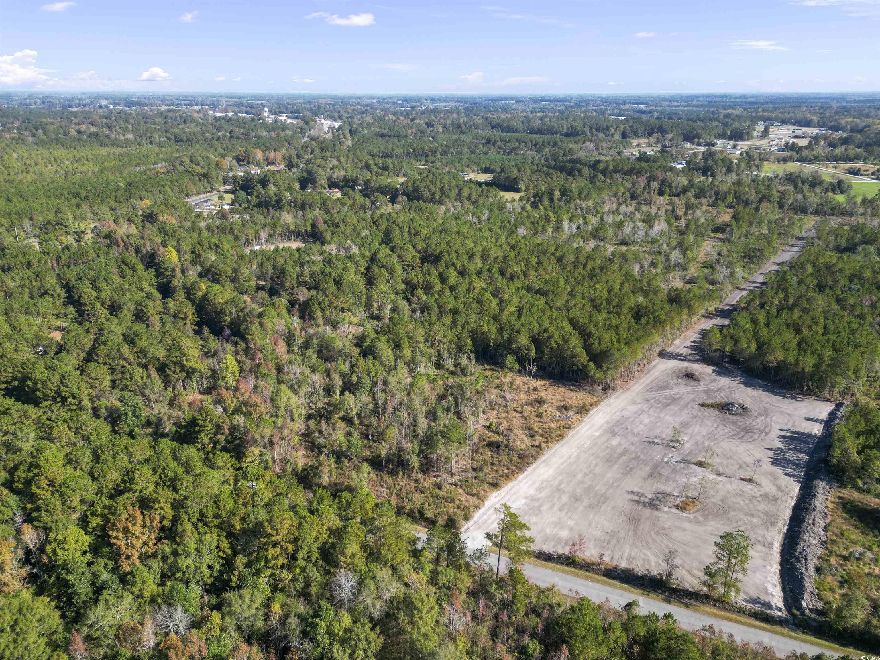 TBD Fowler School Rd., Green Sea, South Carolina image 5