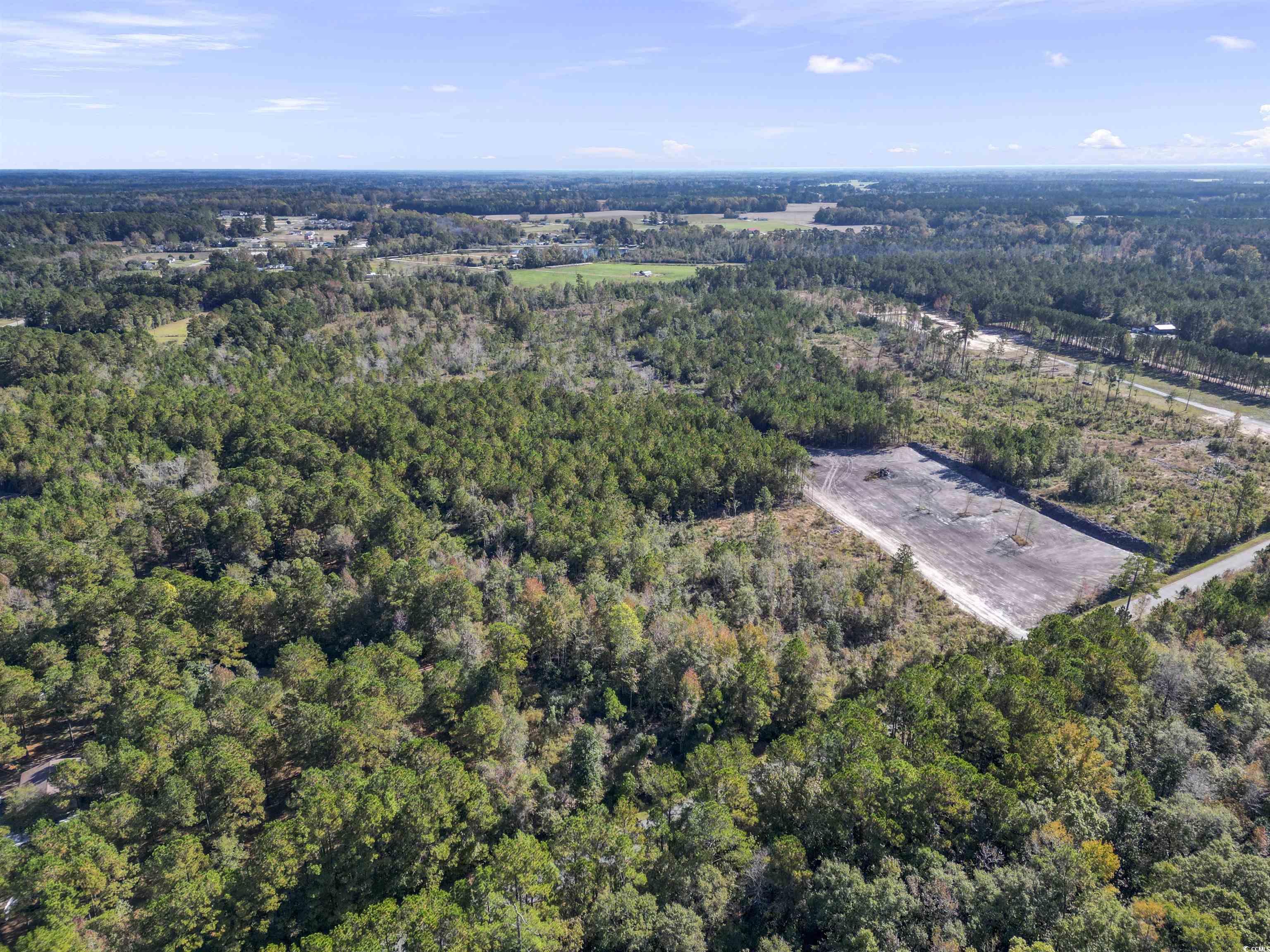 TBD Fowler School Rd., Green Sea, South Carolina image 6