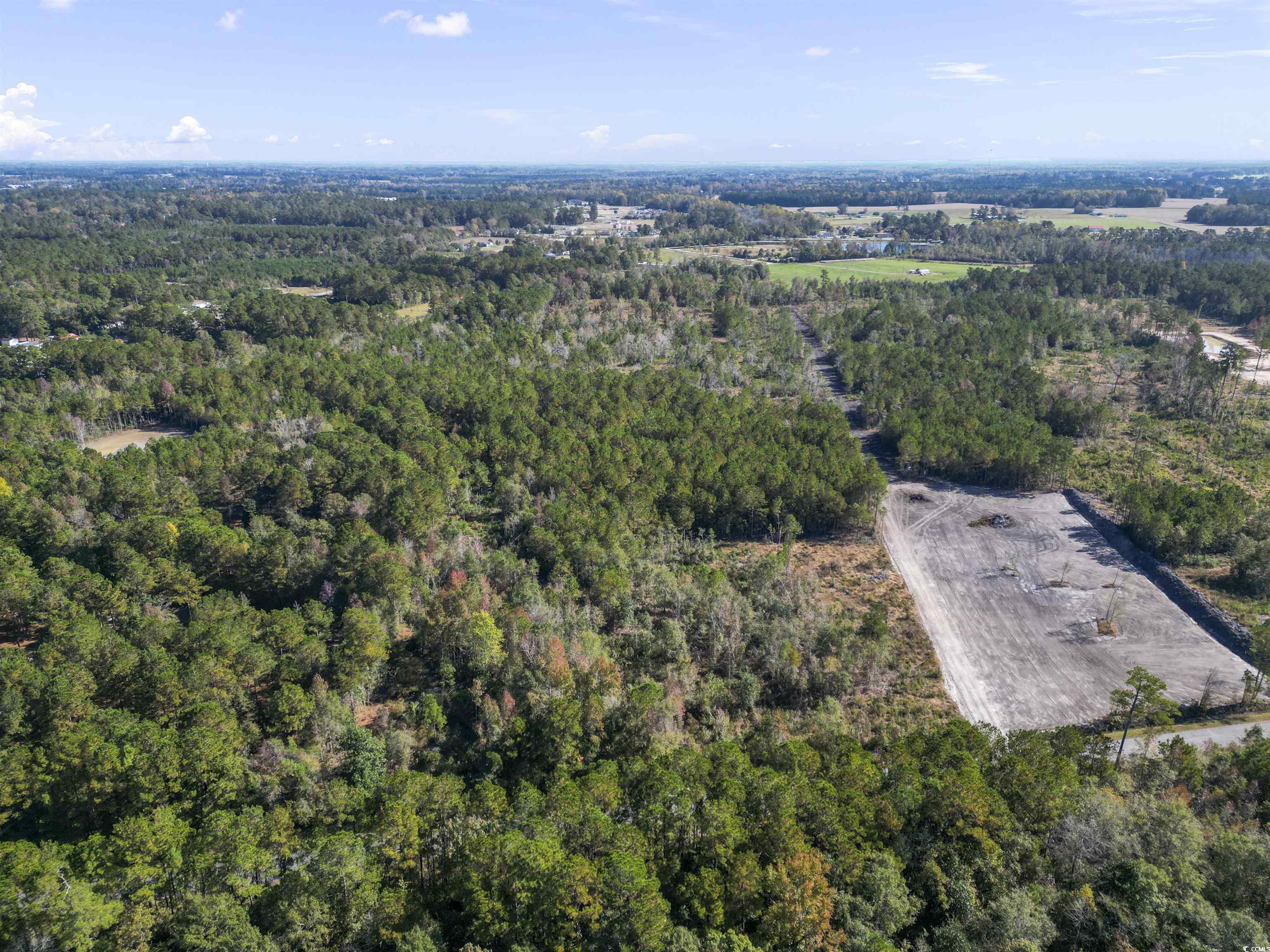 TBD Fowler School Rd., Green Sea, South Carolina image 7