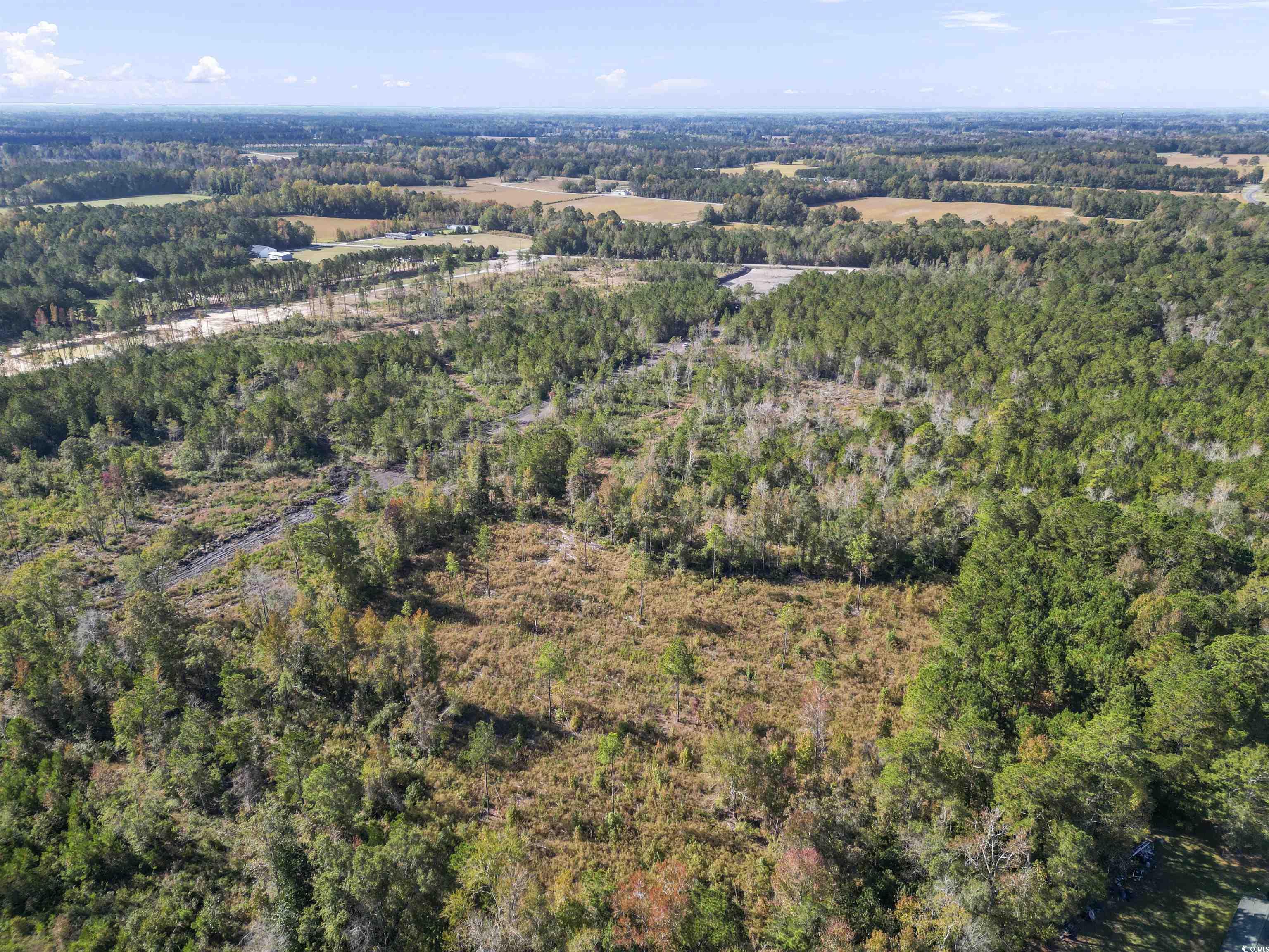 TBD Fowler School Rd., Green Sea, South Carolina image 8