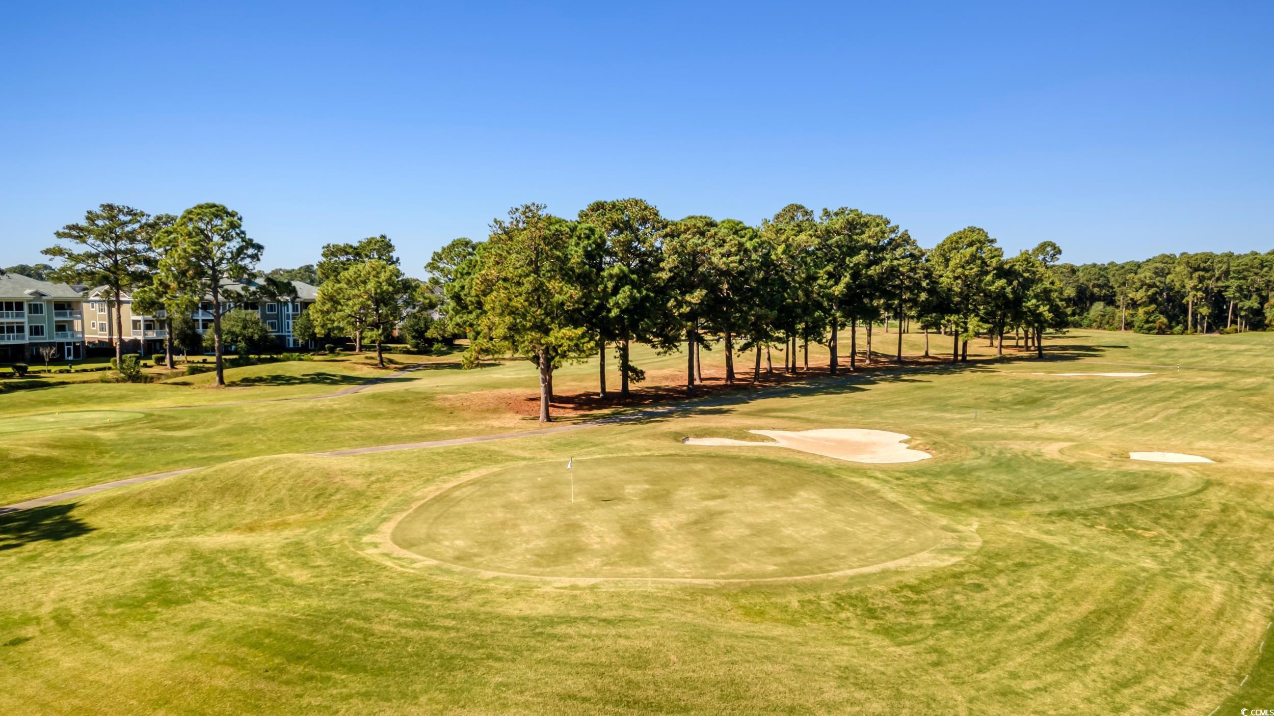 4890 Luster Leaf Circle #201, Myrtle Beach, South Carolina image 34