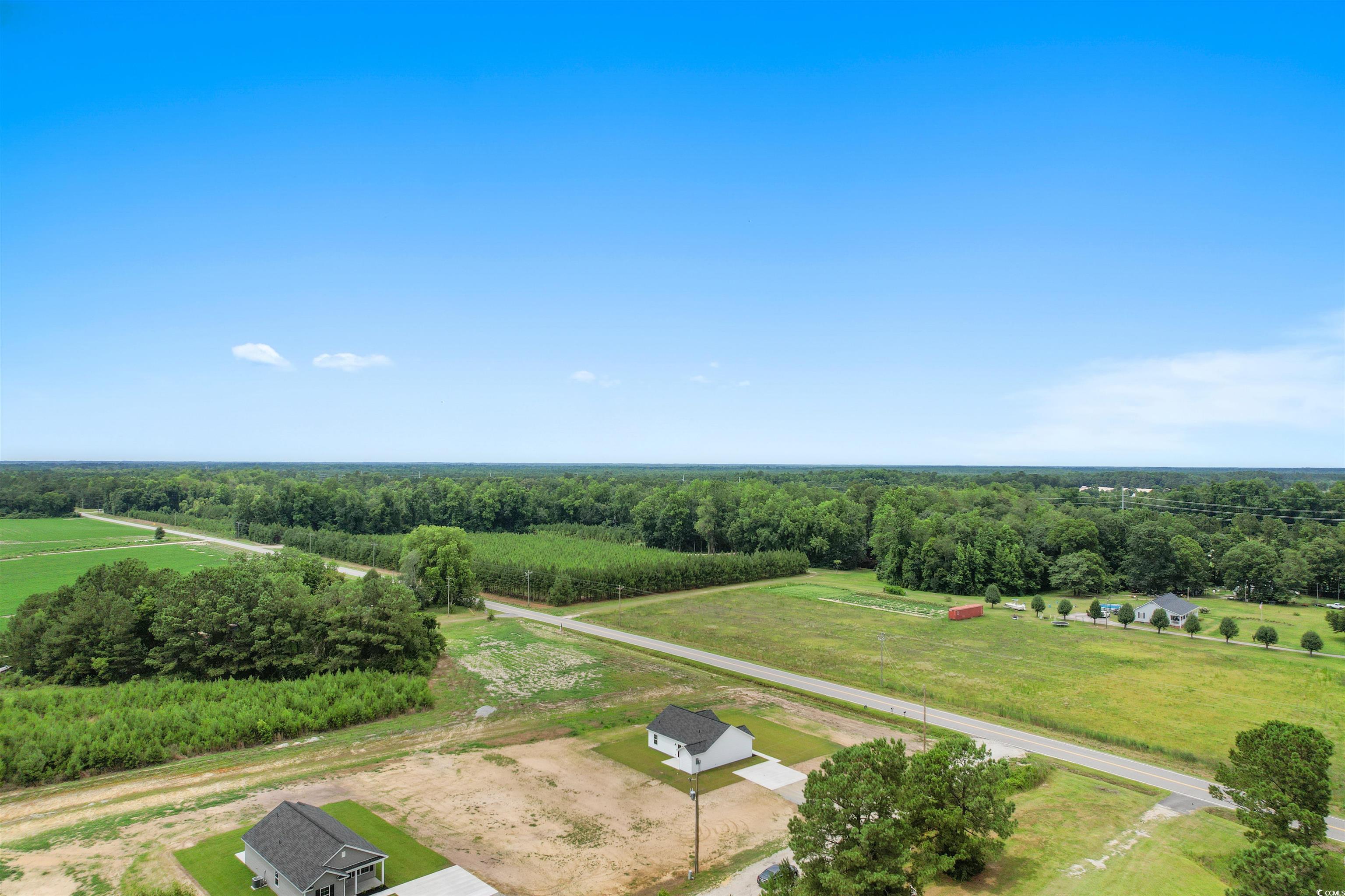 1392 Highway 129, Galivants Ferry, South Carolina image 9