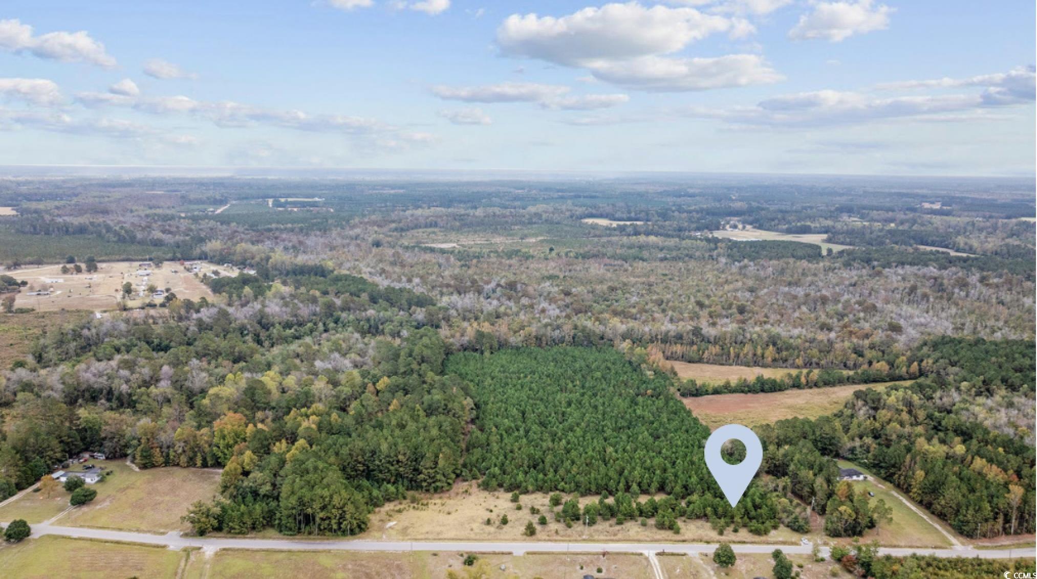 LOT 1 Creek Landing Rd Nichols, SC 29581