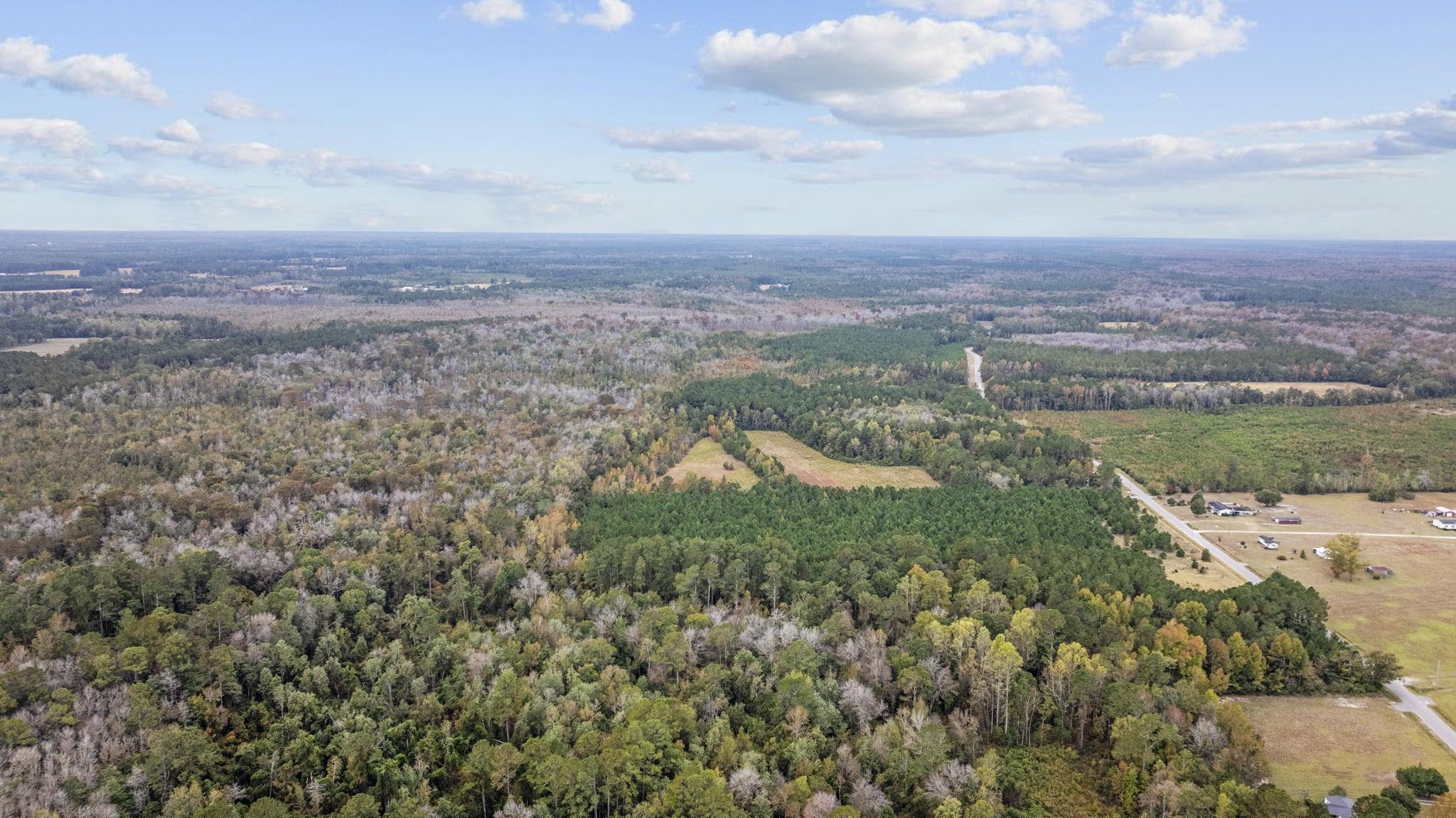 LOT 1 Creek Landing Rd, Nichols, South Carolina image 6