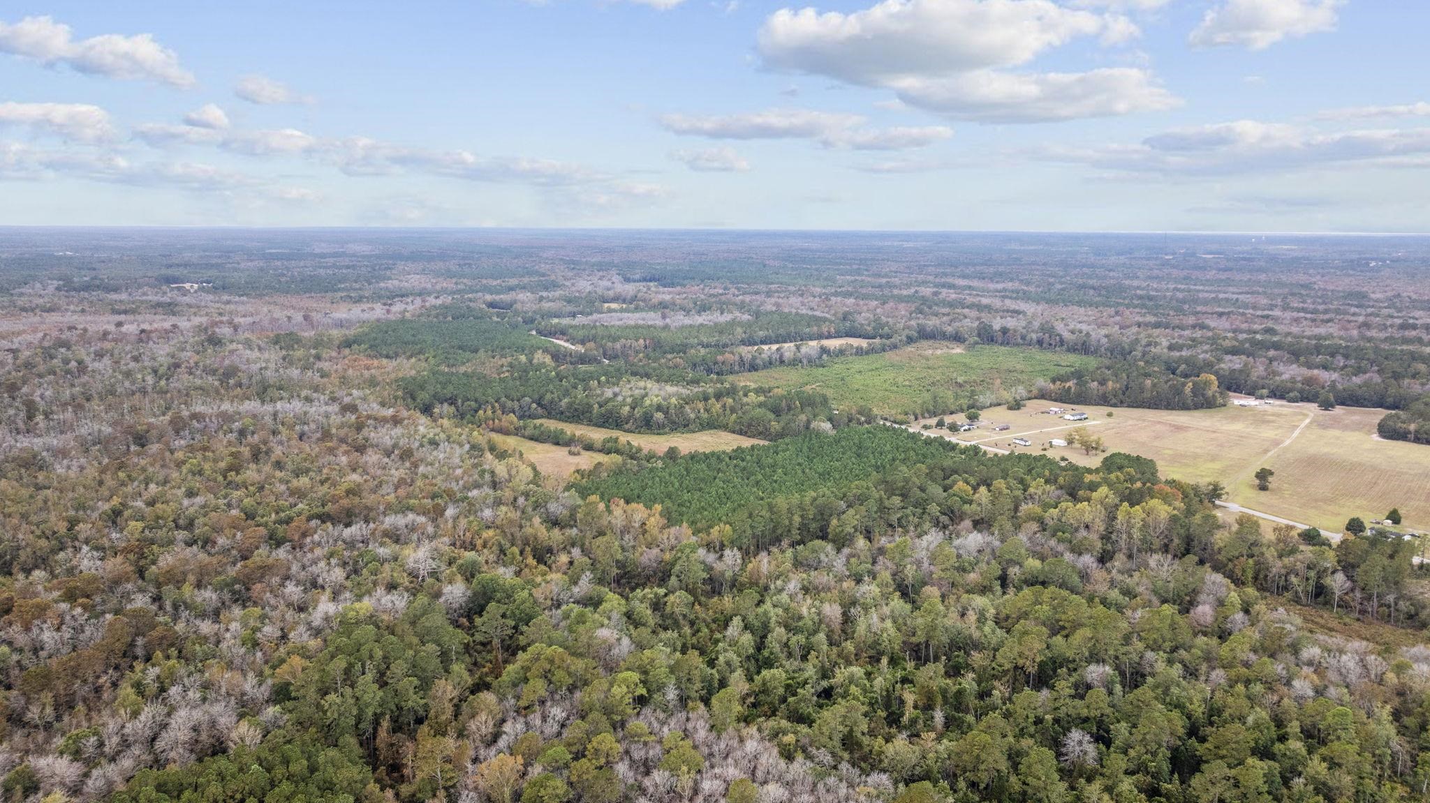 LOT 1 Creek Landing Rd, Nichols, South Carolina image 7