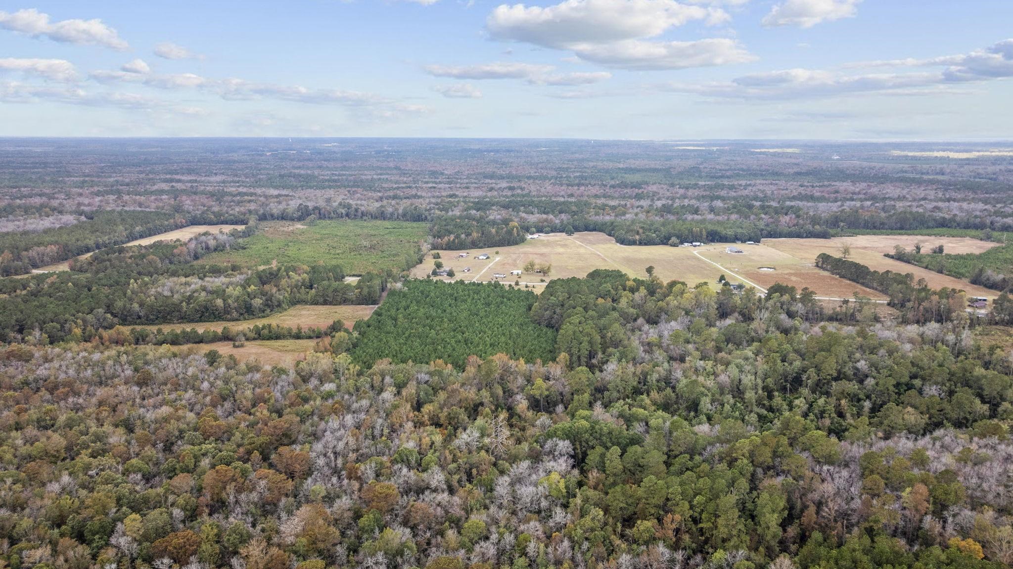 LOT 1 Creek Landing Rd, Nichols, South Carolina image 8