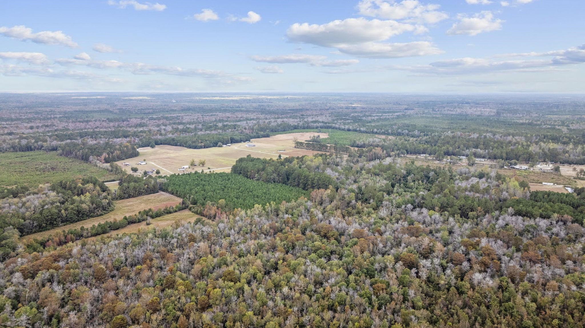 LOT 1 Creek Landing Rd, Nichols, South Carolina image 9