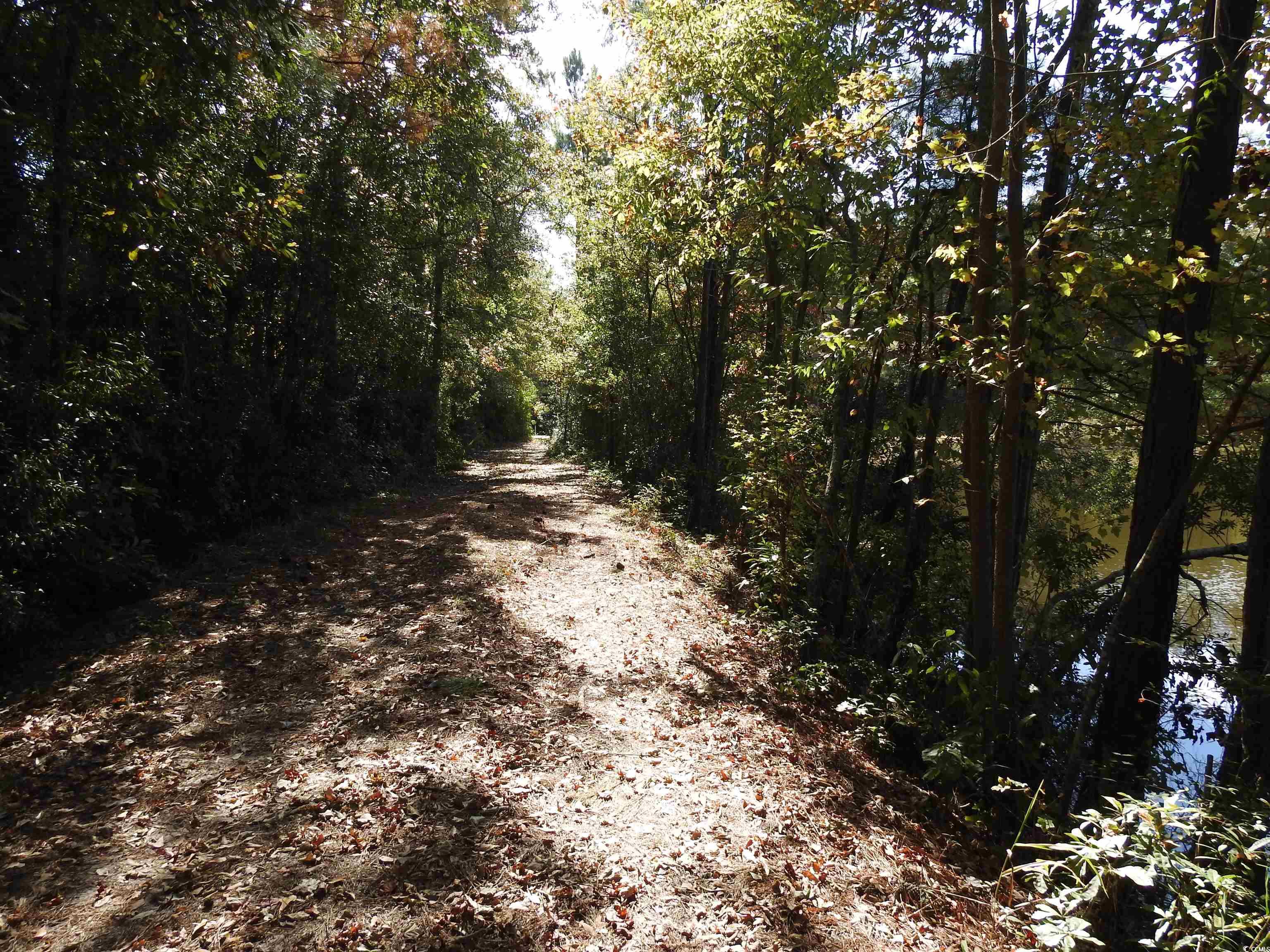 10895 Mcdowell Shortcut Rd., Murrells Inlet, South Carolina image 5