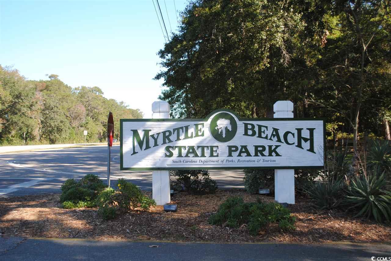 738 Isle Verde Dr, Myrtle Beach, South Carolina image 38