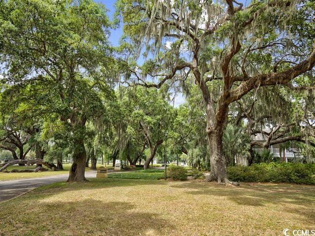 14290 Ocean Hwy. #202, Pawleys Island, South Carolina image 33