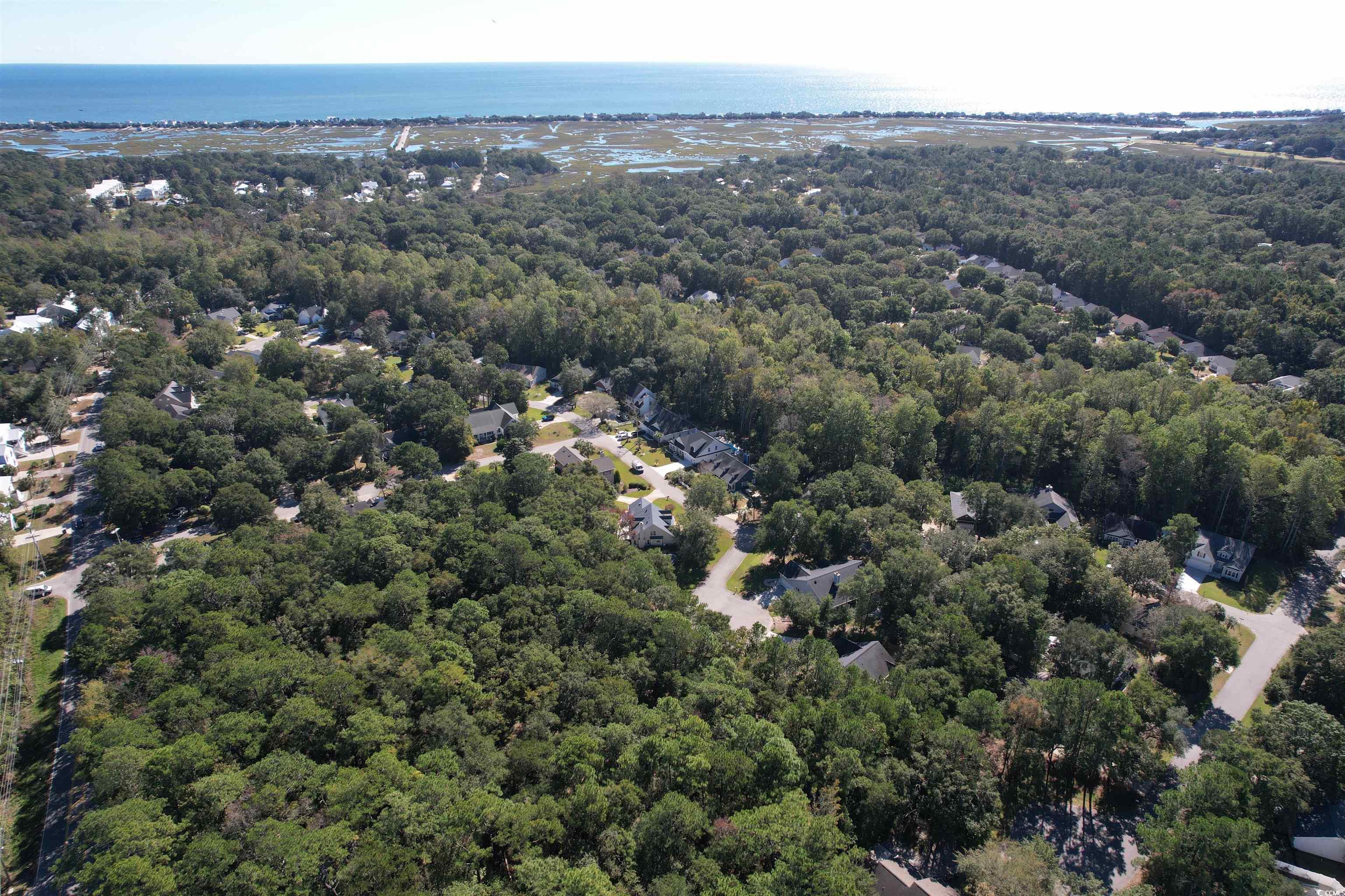 39 Cutter Cove, Pawleys Island, South Carolina image 7