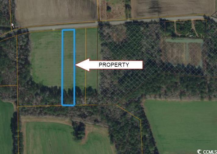 Lot 3 Trac Oak Grove Church Rd. Nichols, SC 29581