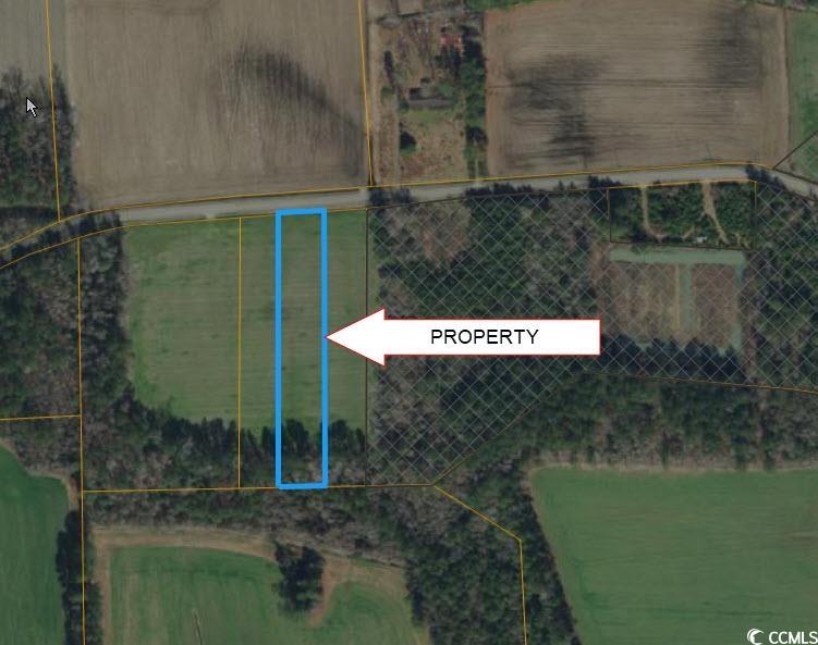 Lot 4 Trac Oak Grove Church Rd. Nichols, SC 29581