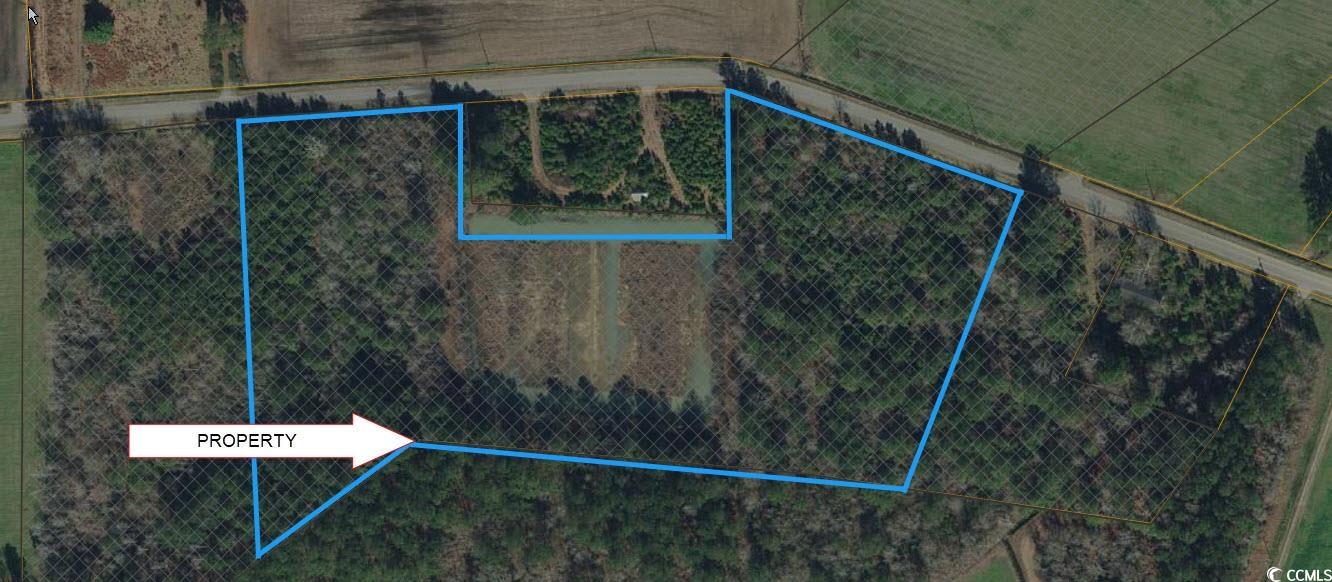 Lot 7 Trac Oak Grove Church Rd. Nichols, SC 29581